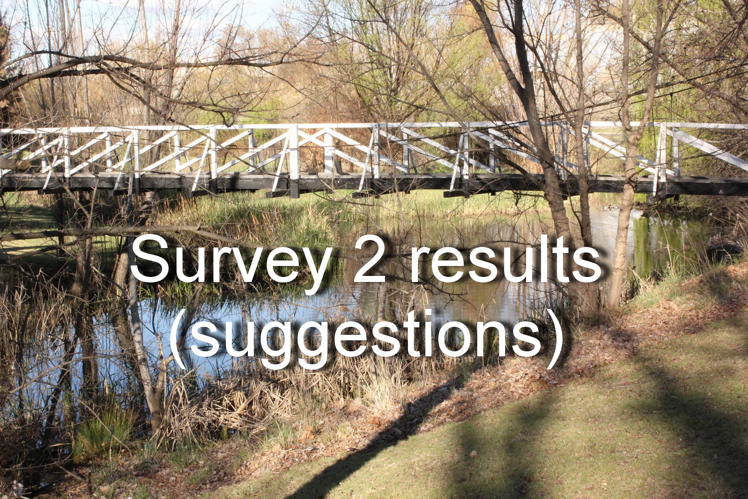 Survey 2 results (suggestions from members)   