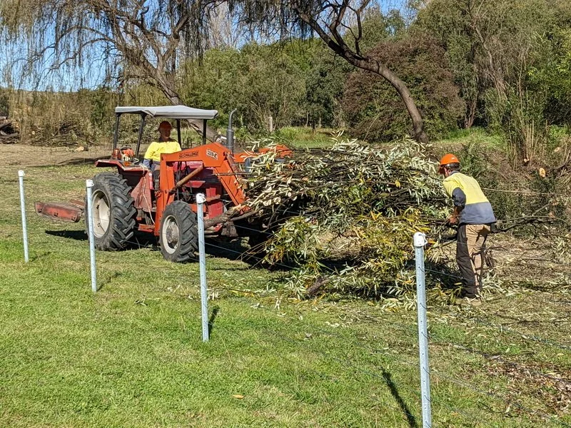 Progress towards a Wildlife Wetland ...