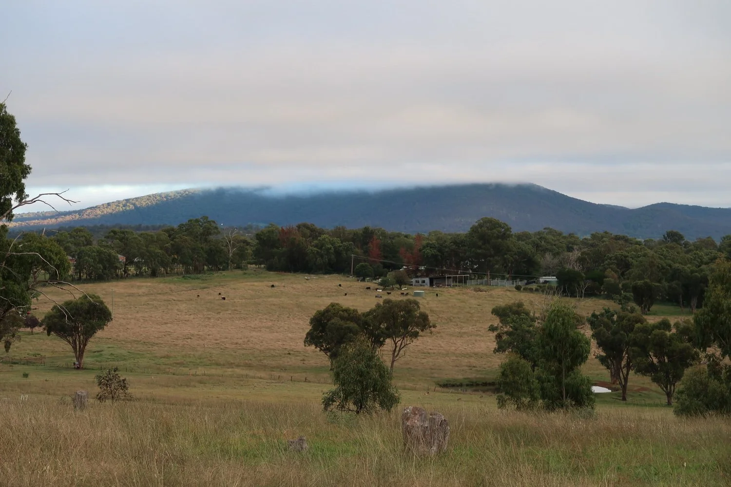 Reflecting on Armidale's creeklands from the top of our catchment - Duembandyi (Mt Duval) ...
