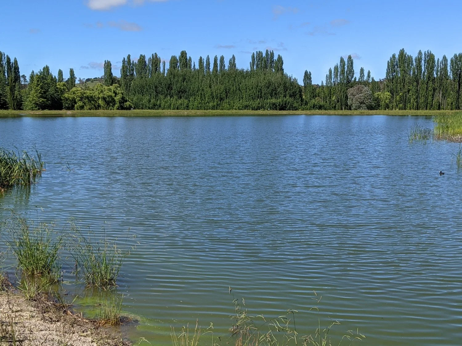 Let's talk about off-stream storage of environmental water for the creeklands ...