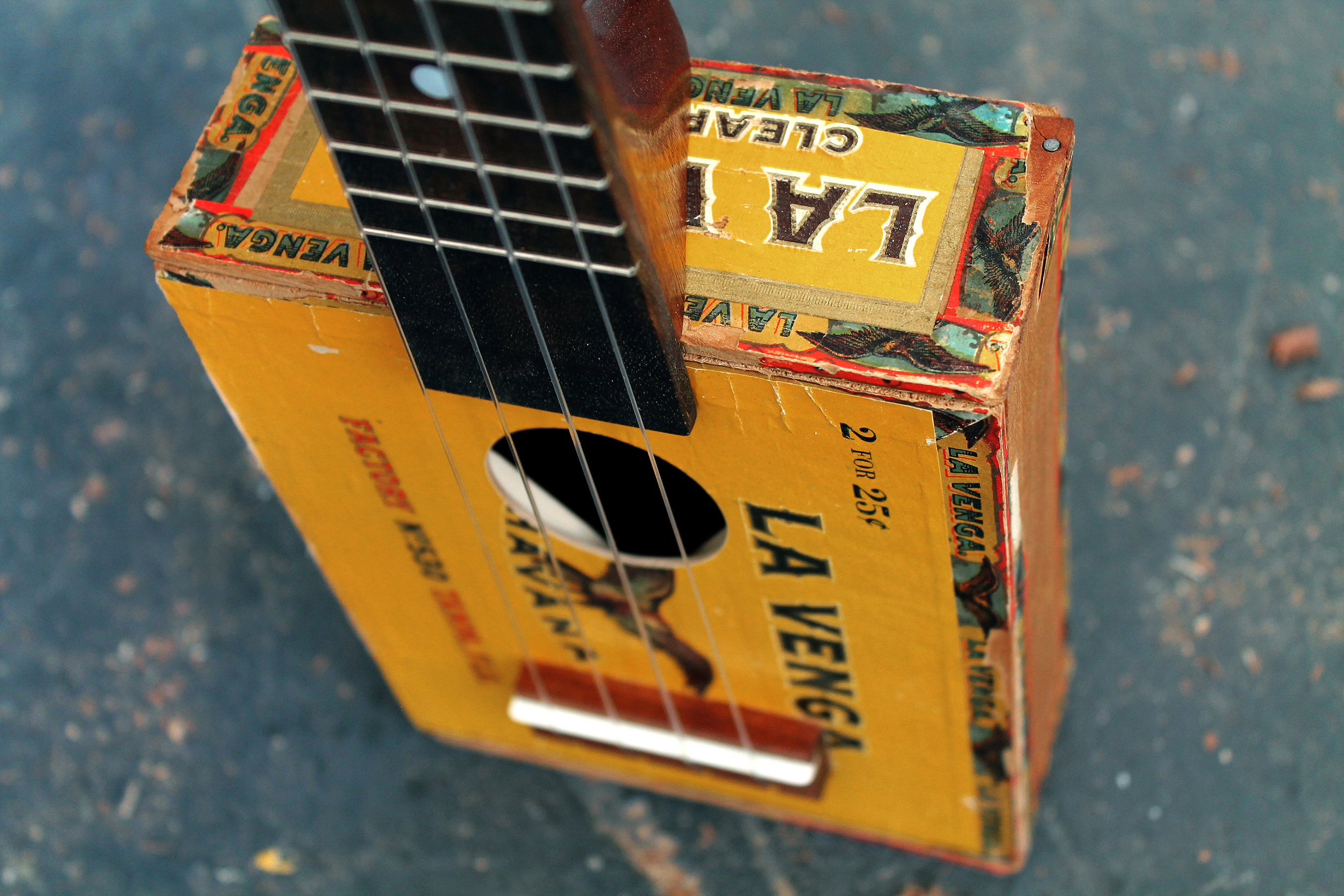 Venga Detail 1.jpg