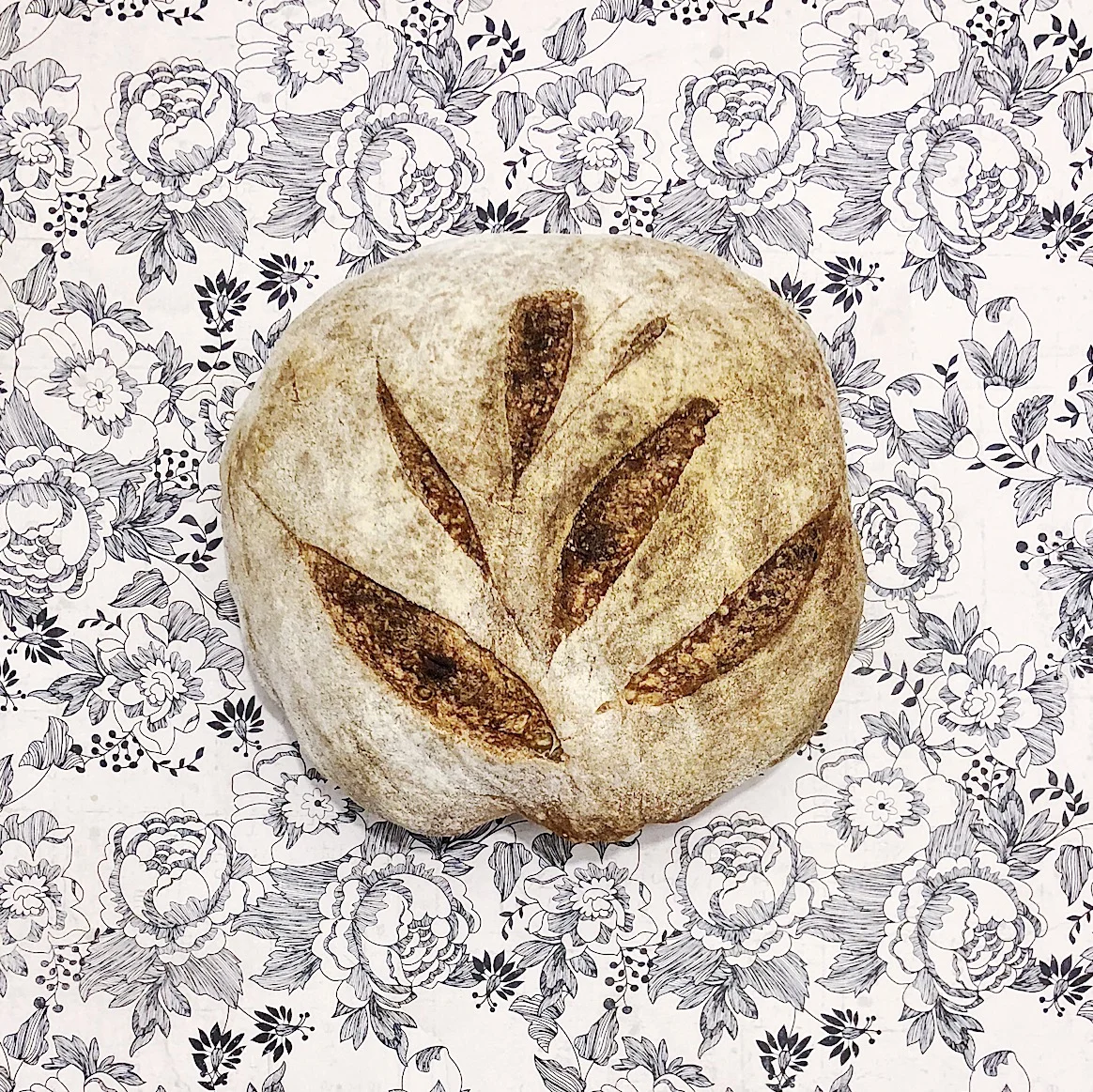 Sourdough boules are getting design-y.