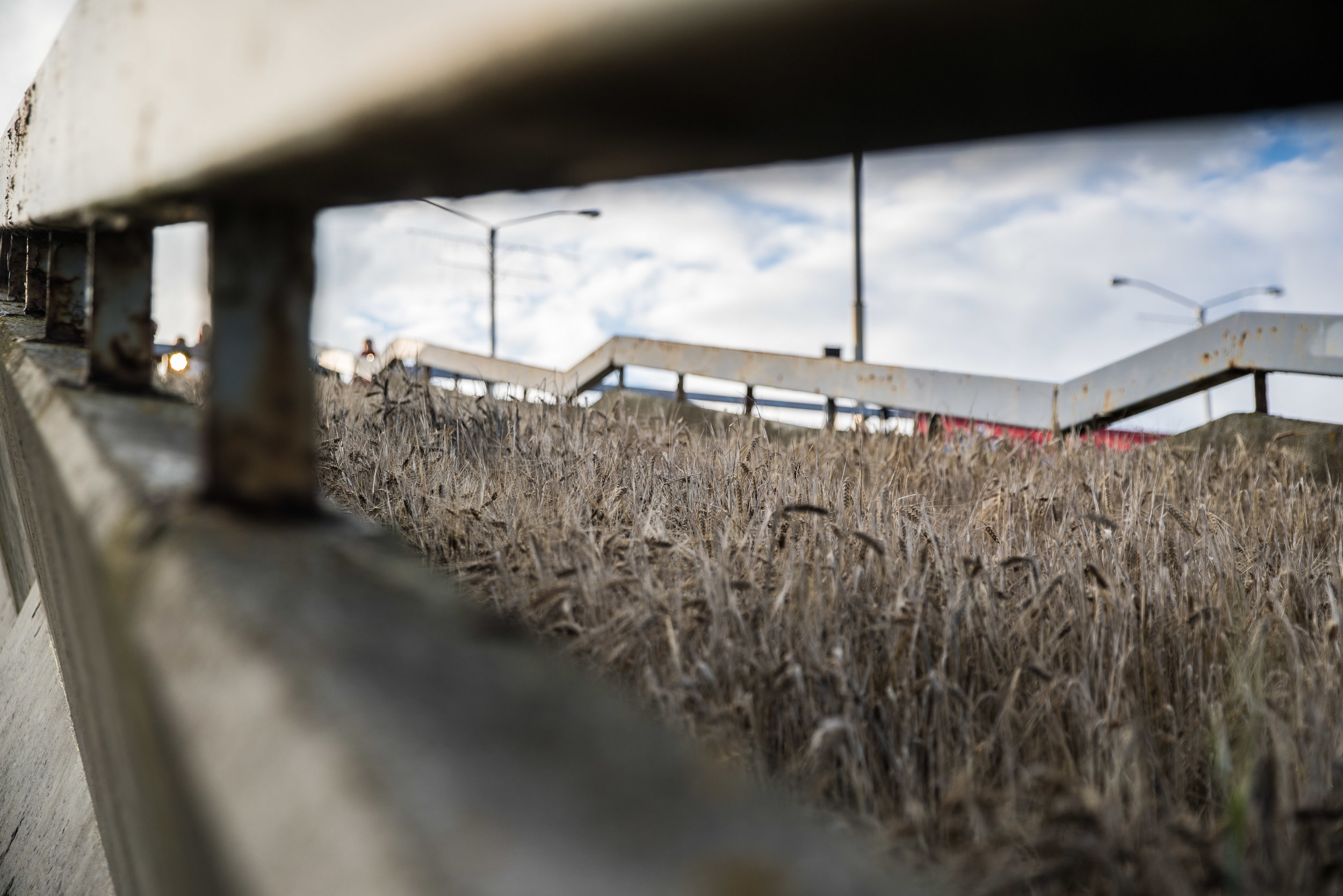 13 By Madis Veltman.jpg