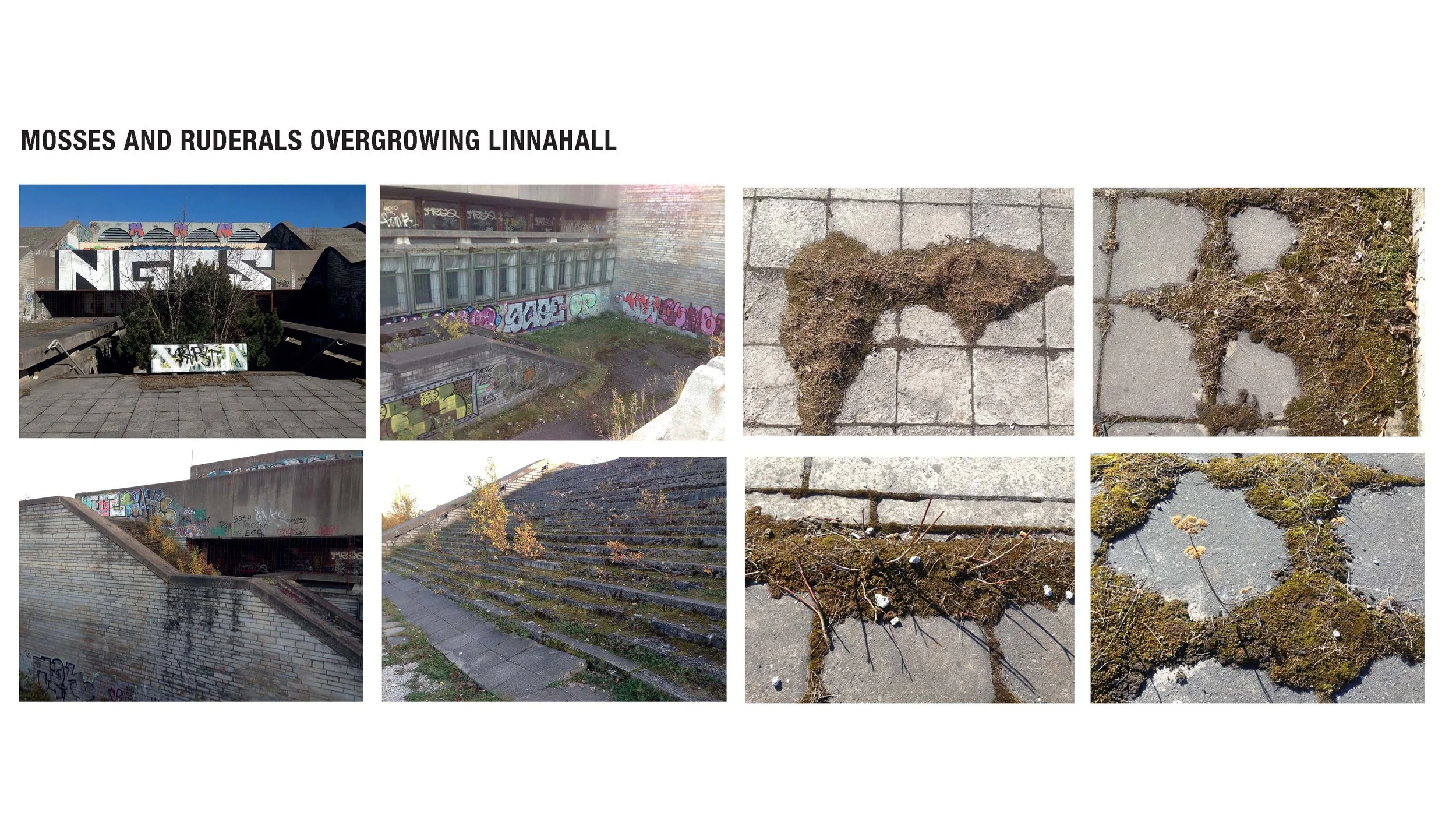 A_TAMM MAesitlus_Page_17.jpg