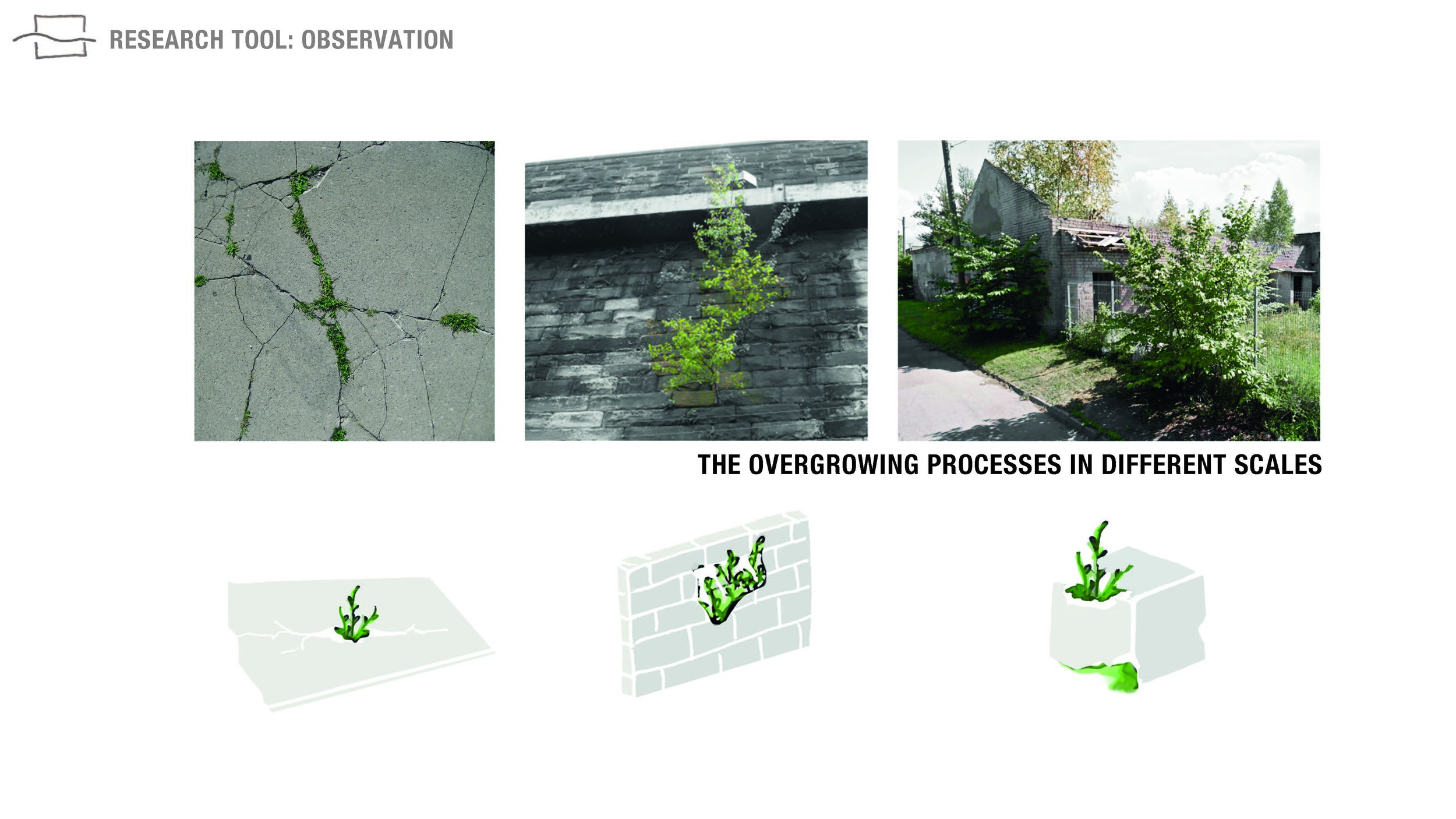 A_TAMM MAesitlus_Page_08.jpg