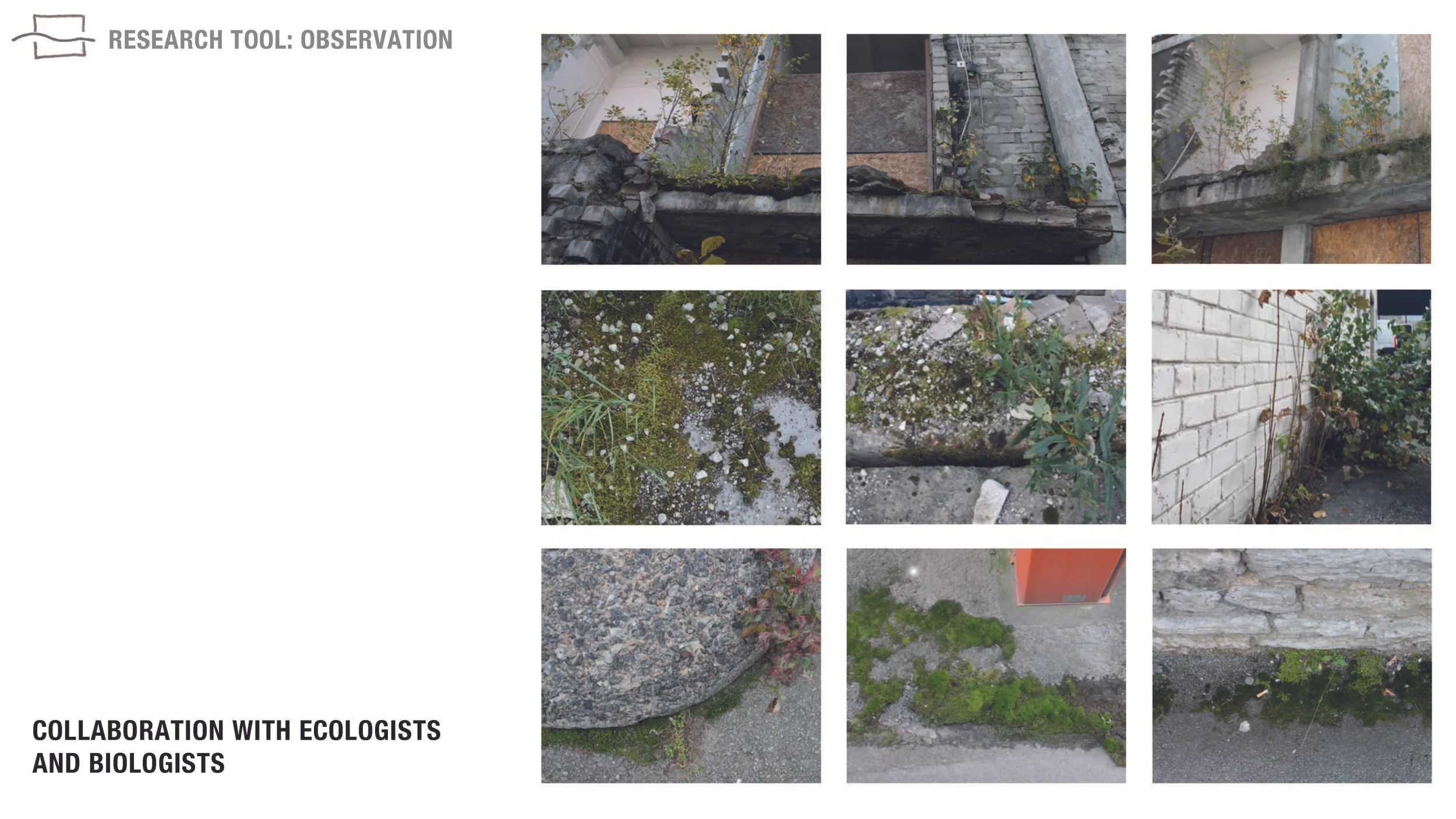 A_TAMM MAesitlus_Page_09.jpg