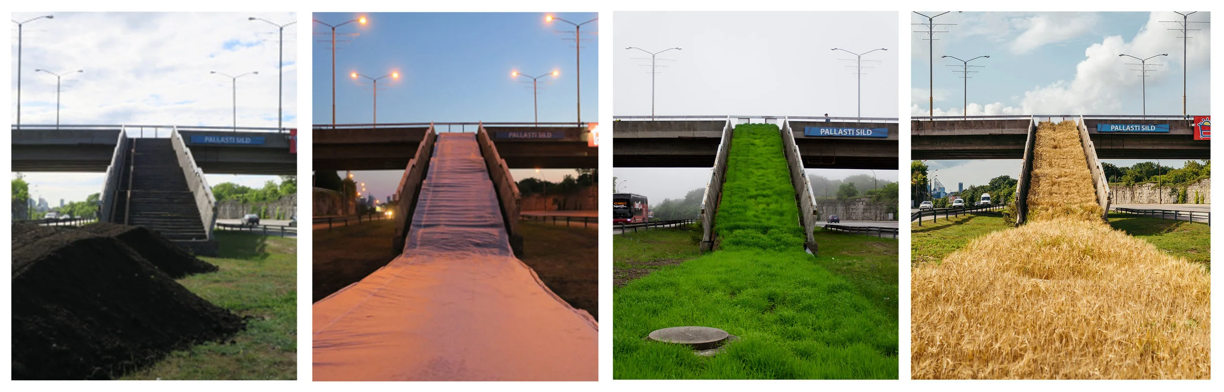 lasnaviljam timeframe.jpg