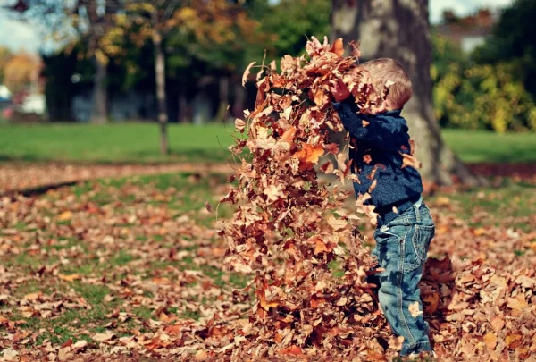 How much do you feel after running through freshly fallen leaves ?