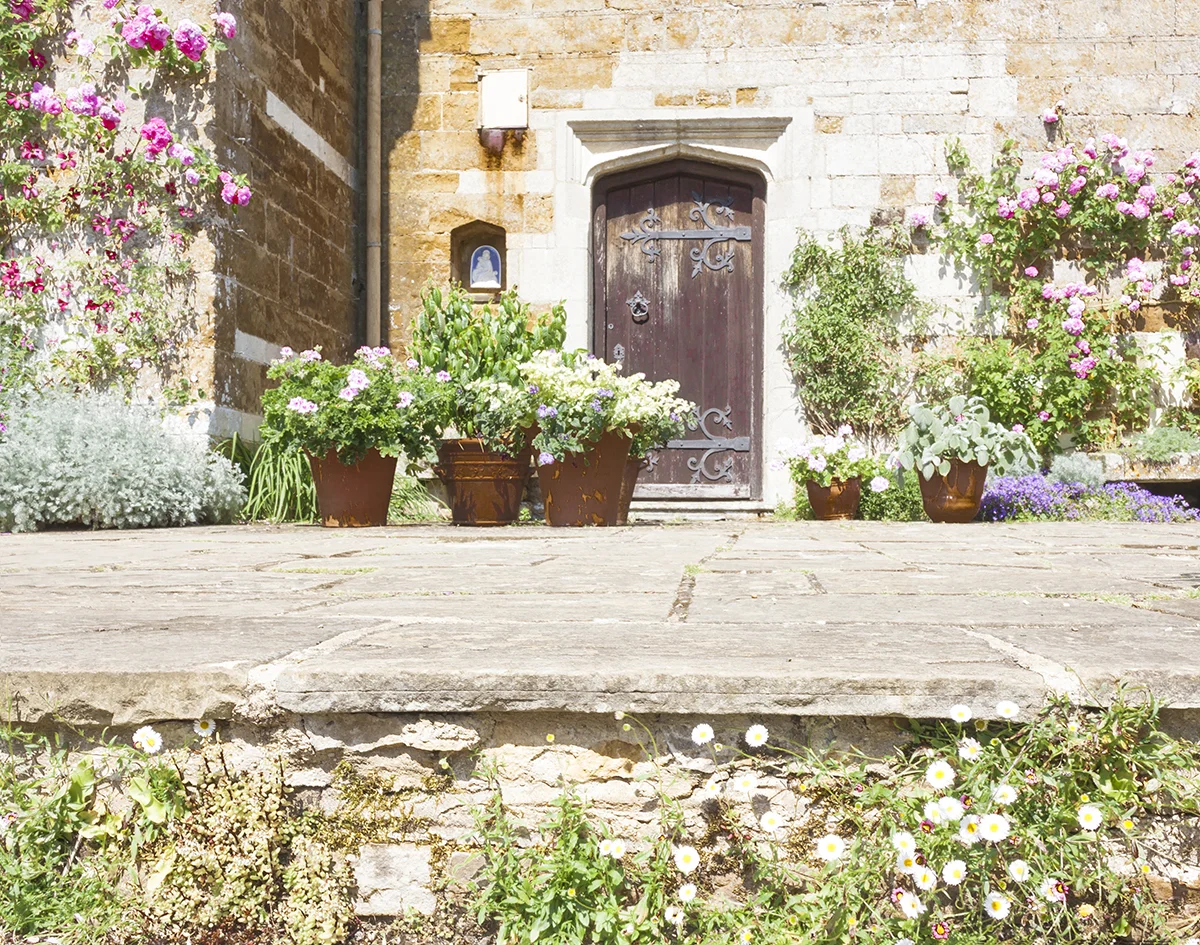 coton manor_2.jpg