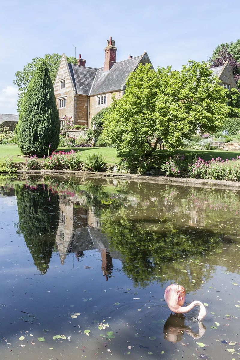 coton manor_3.jpg
