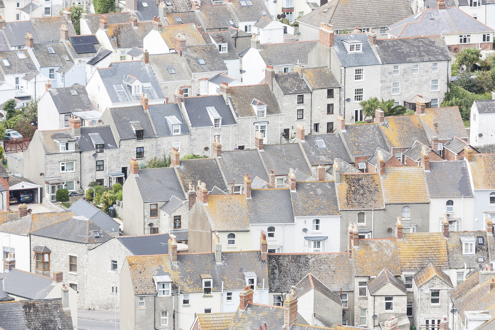 portland rooftops.jpg