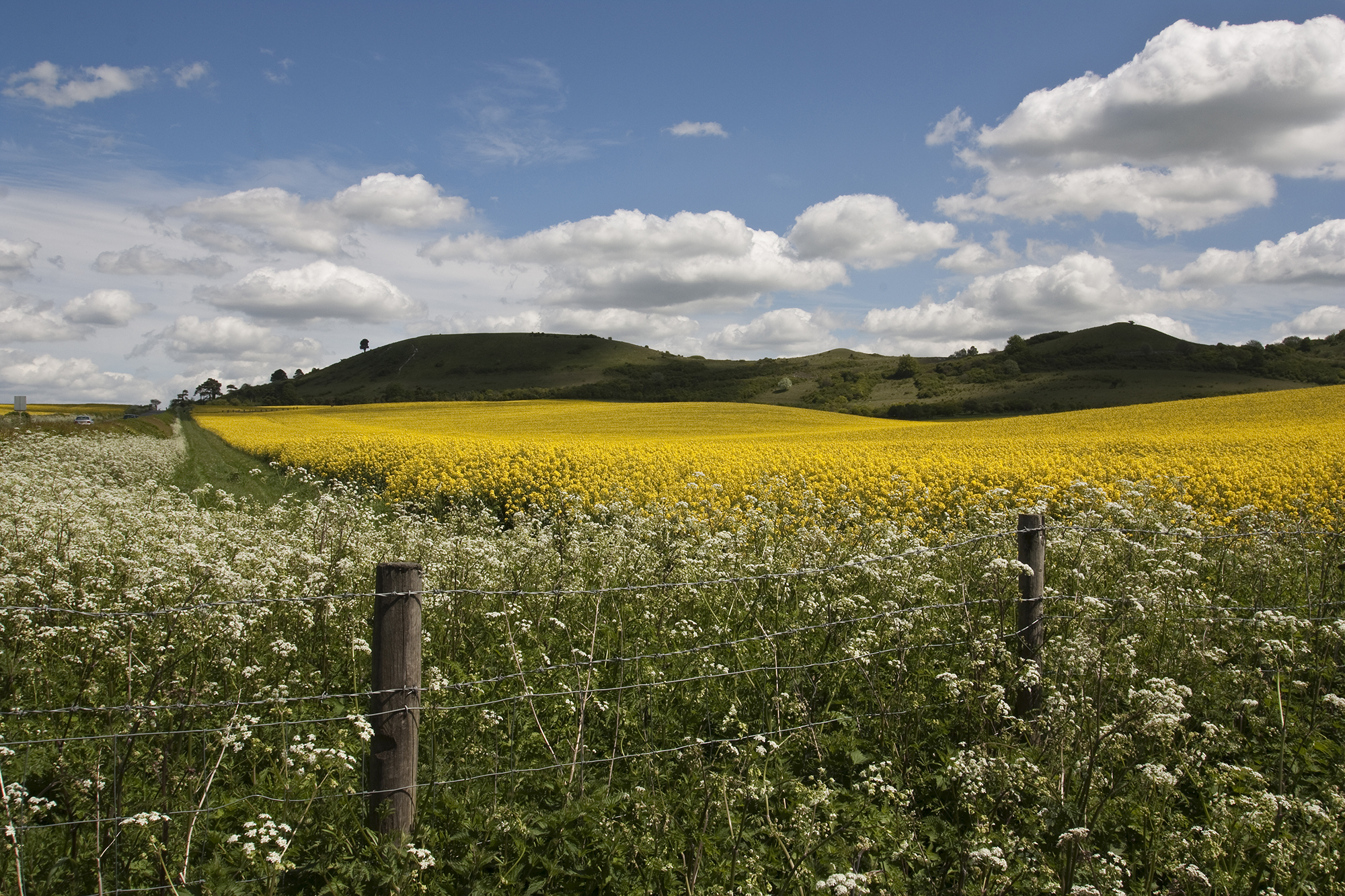 ivinghoe beacon.jpg