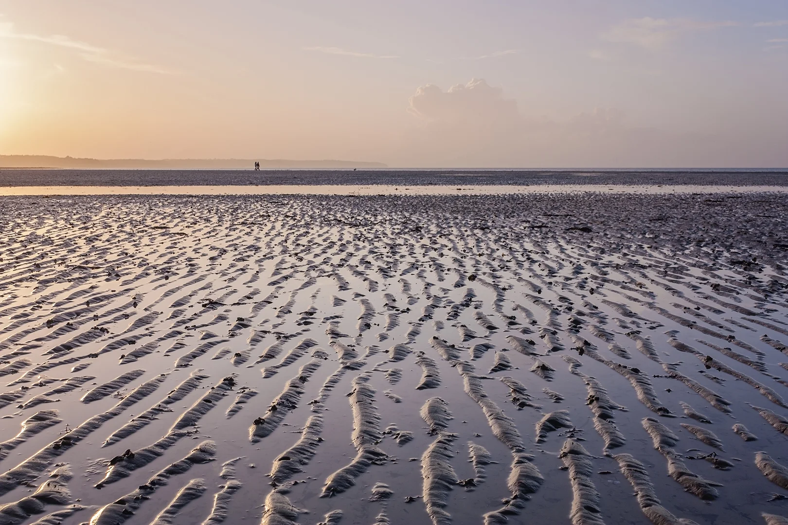 ryde ripples.jpg