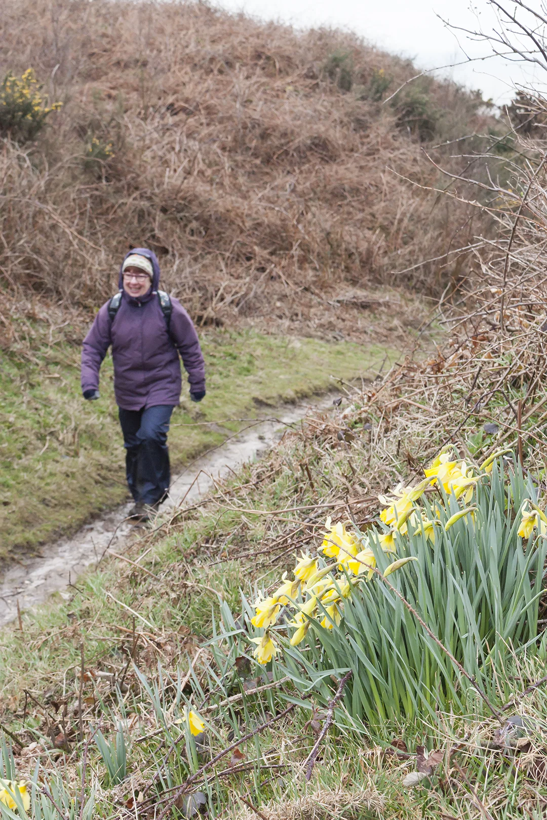 IOW walk_12.jpg