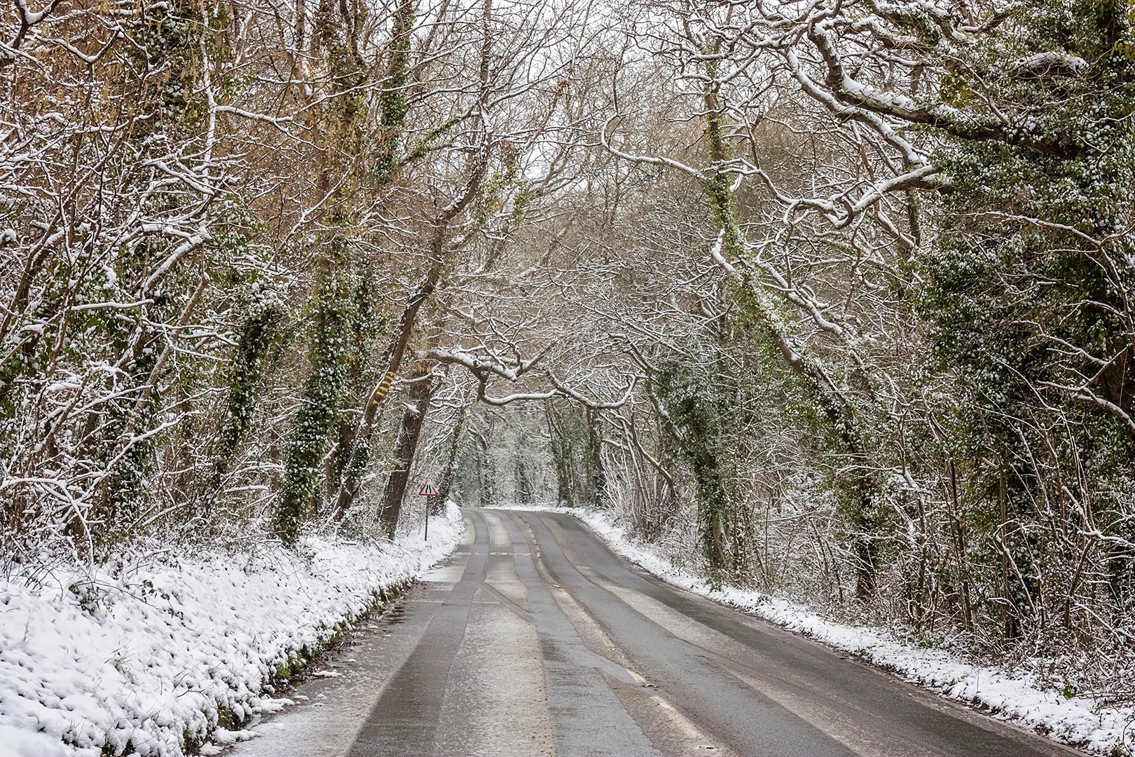 iow road.jpg