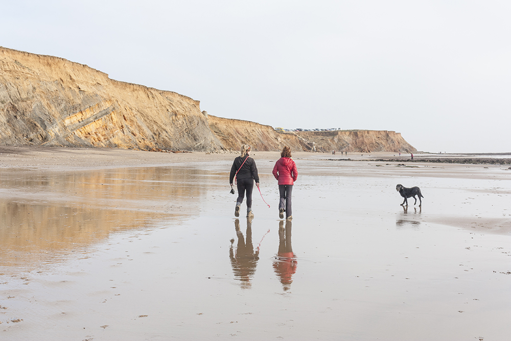 compton bay dog.jpg