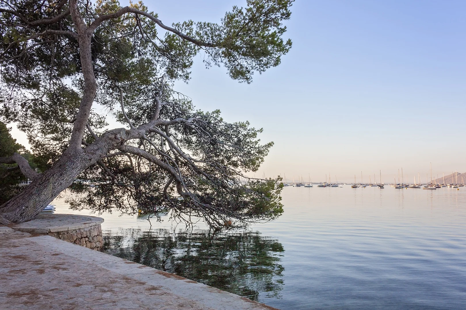 puerto pollensa_8.jpg
