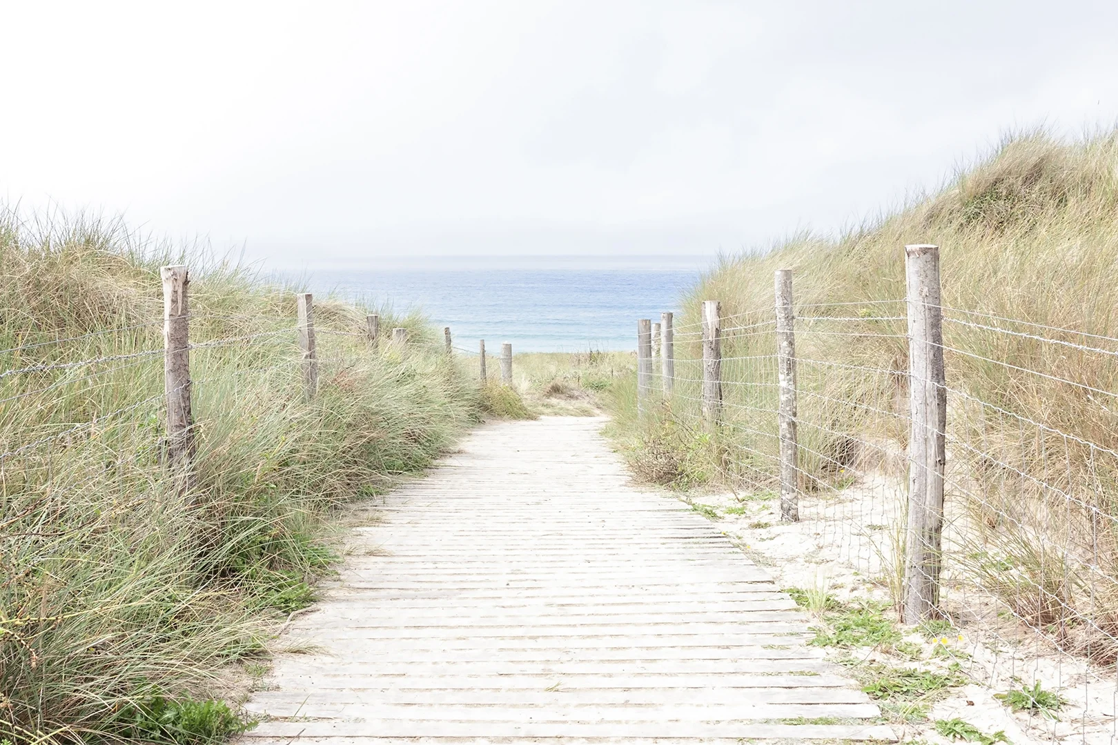 beach path.jpg