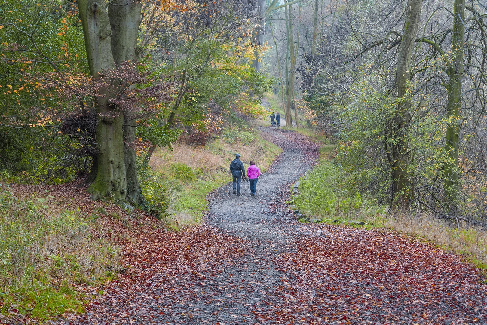 autumn walk.jpg
