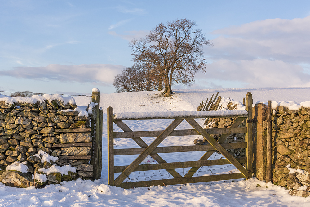 yorkshire dales.jpg