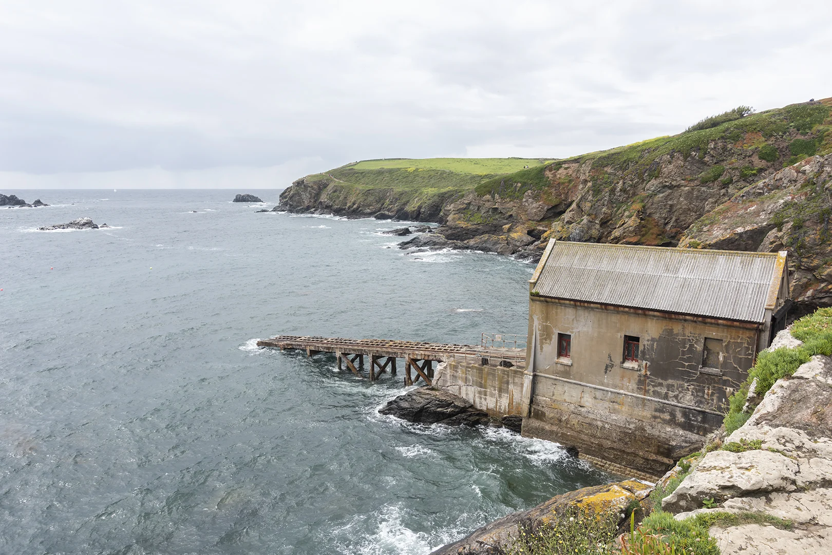 lizard point.jpg