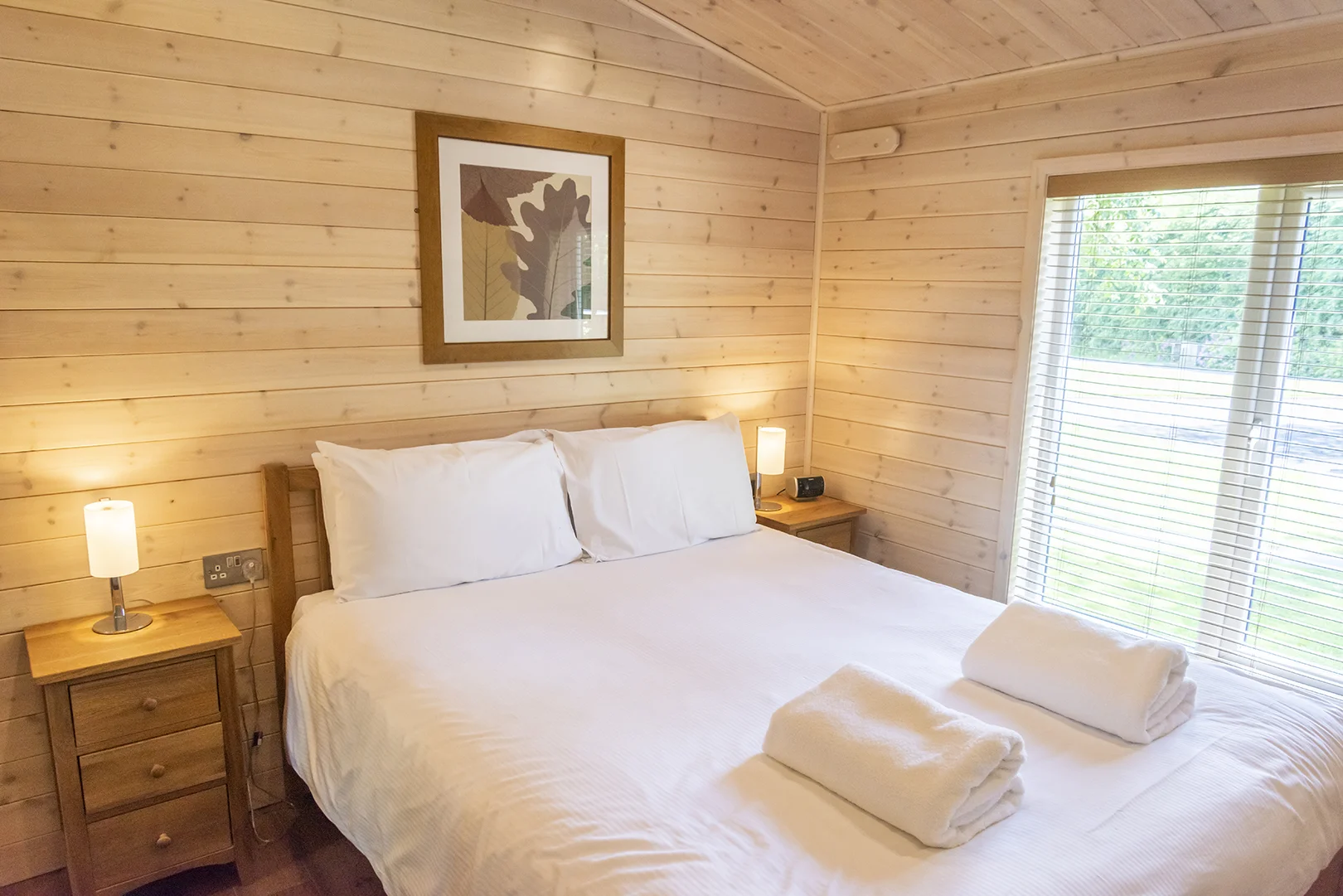 darwin forest bedroom_2.jpg