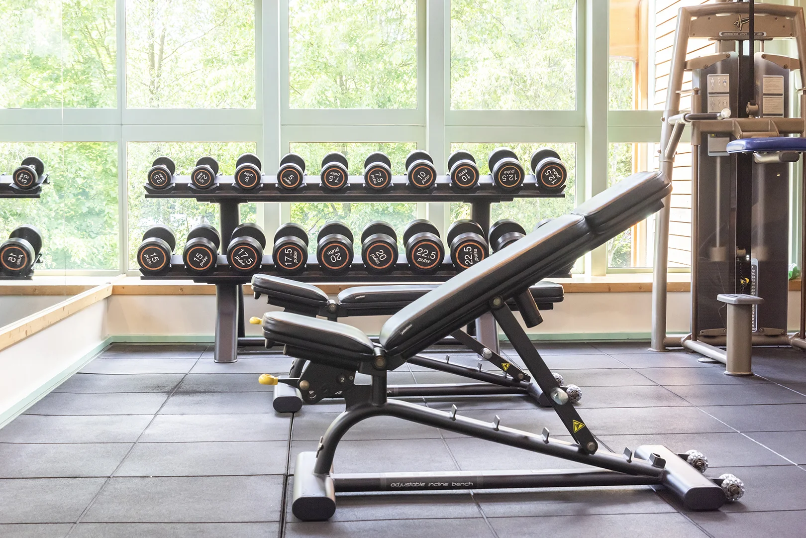 darwin forest weights_2.jpg