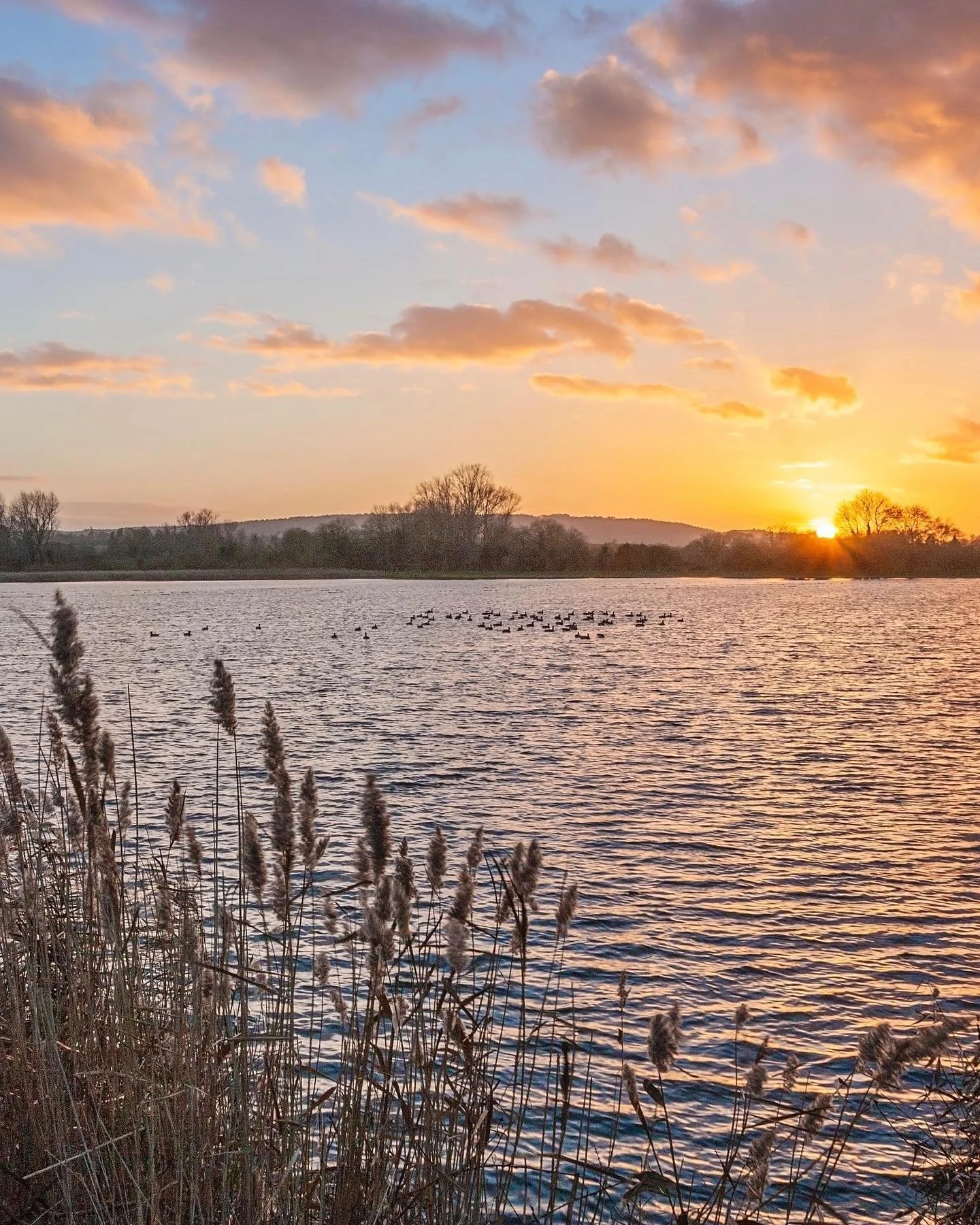 Sunset at Tring Reservoirs