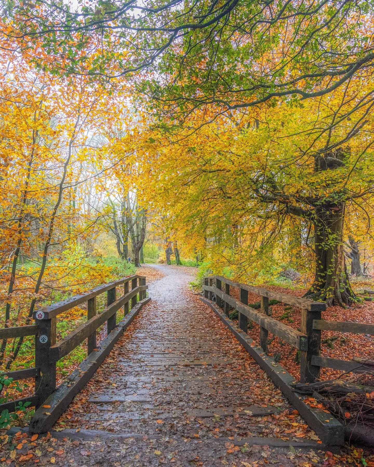Ashridge Estate is a 2,000 hectare (5,000 acres) area of the Chiltern Hills with beech and oak woodlands, commons and chalk downlands. 

These landscapes each support a rich variety of wildlife, including carpets of bluebells in spring, rare butterfl