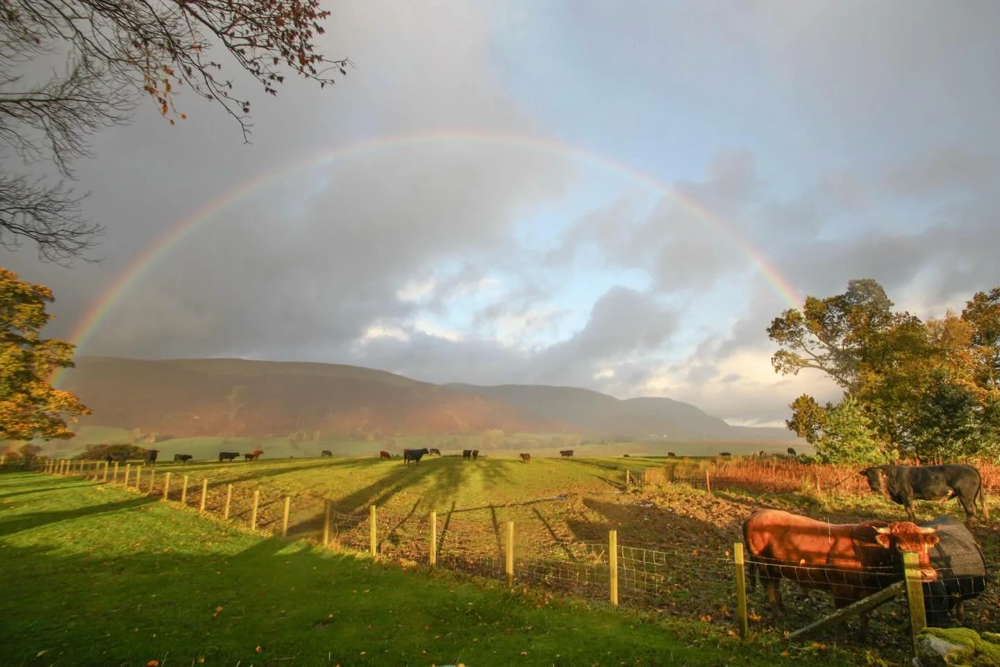 Looking through my archives, I came across this one that I hadn&rsquo;t previously posted. Visiting the Lake District near Keswick for the first time, a stunning rainbow 🌈 framed the distant landscape beautifully. 

With it being the start of Decemb