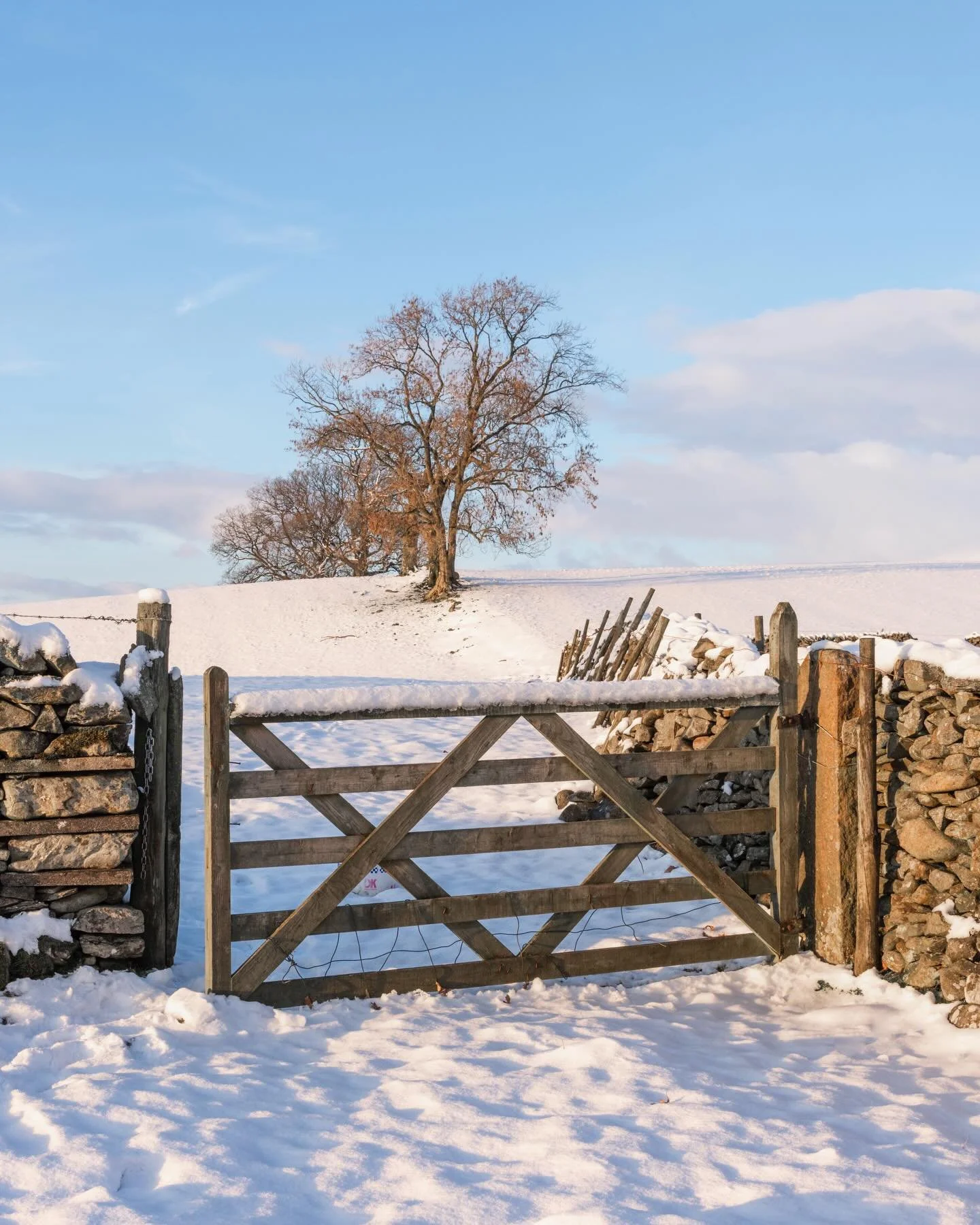 Today&rsquo;s &rsquo;Winter&rsquo; scene is one from a trip that I took a few years ago to Sedbergh in Cumbria. I loved this simple view of the tree through the gate.