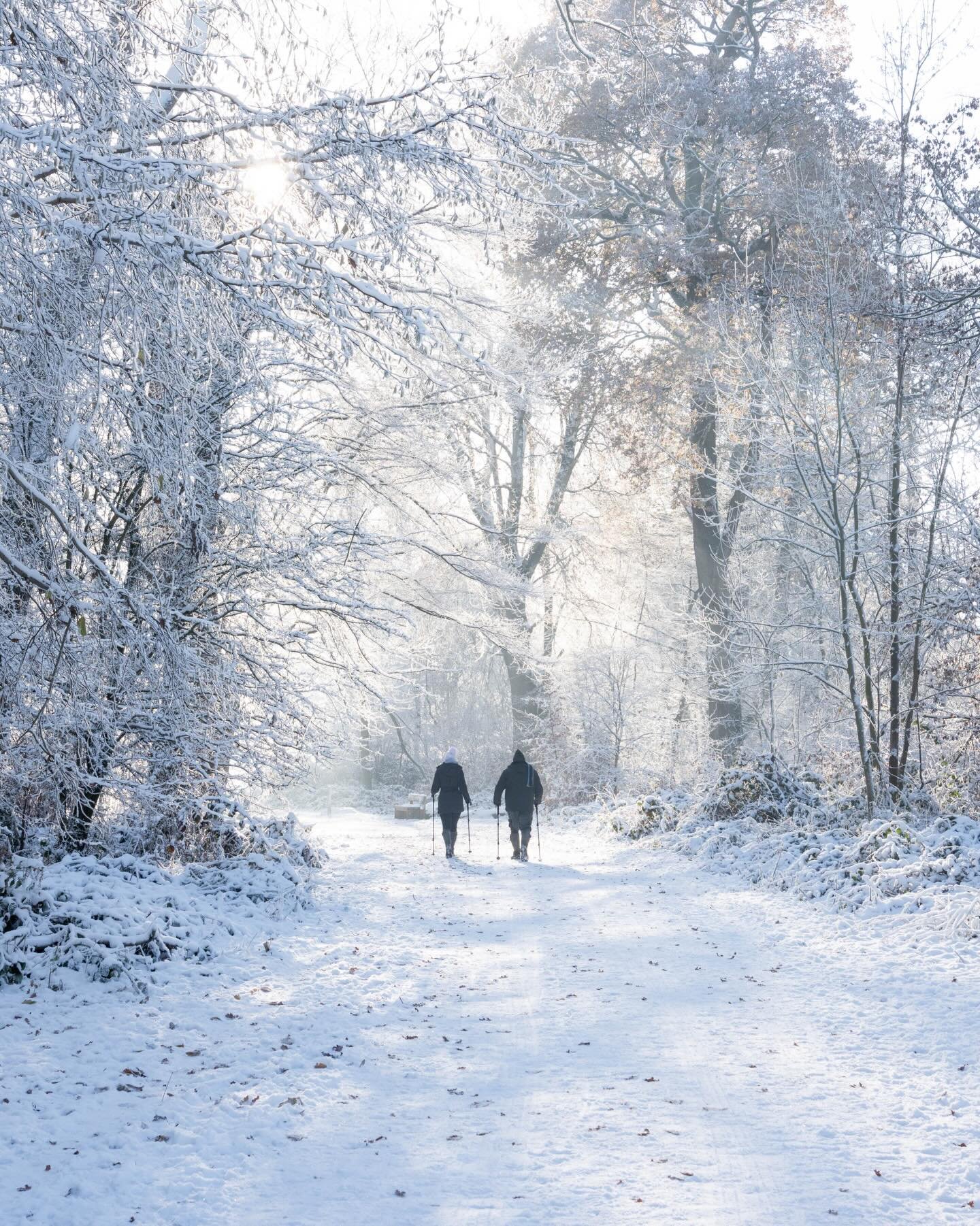 Today&rsquo;s &rsquo;Winter&rsquo; scene is from Ashridge Forest, where on a beautiful snowy morning, this couple added some perspective and completed the picture that I wanted to photograph.
