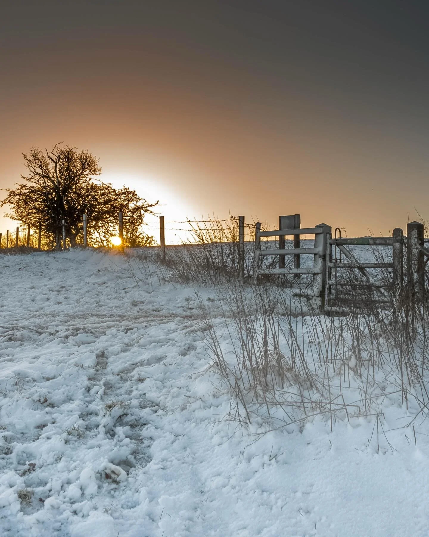 Happy Friday Folks!
❄️❄️❄️❄️❄️