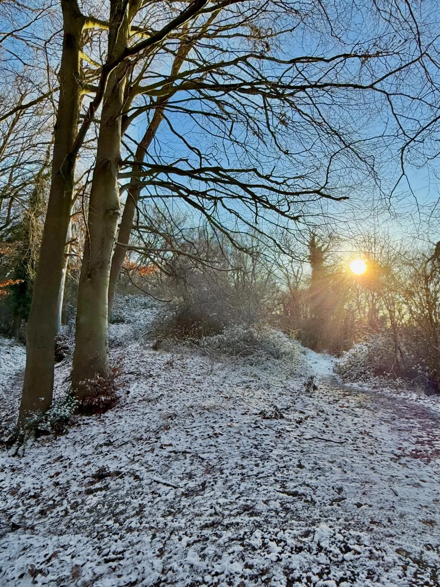 Somewhere only we know ❄️