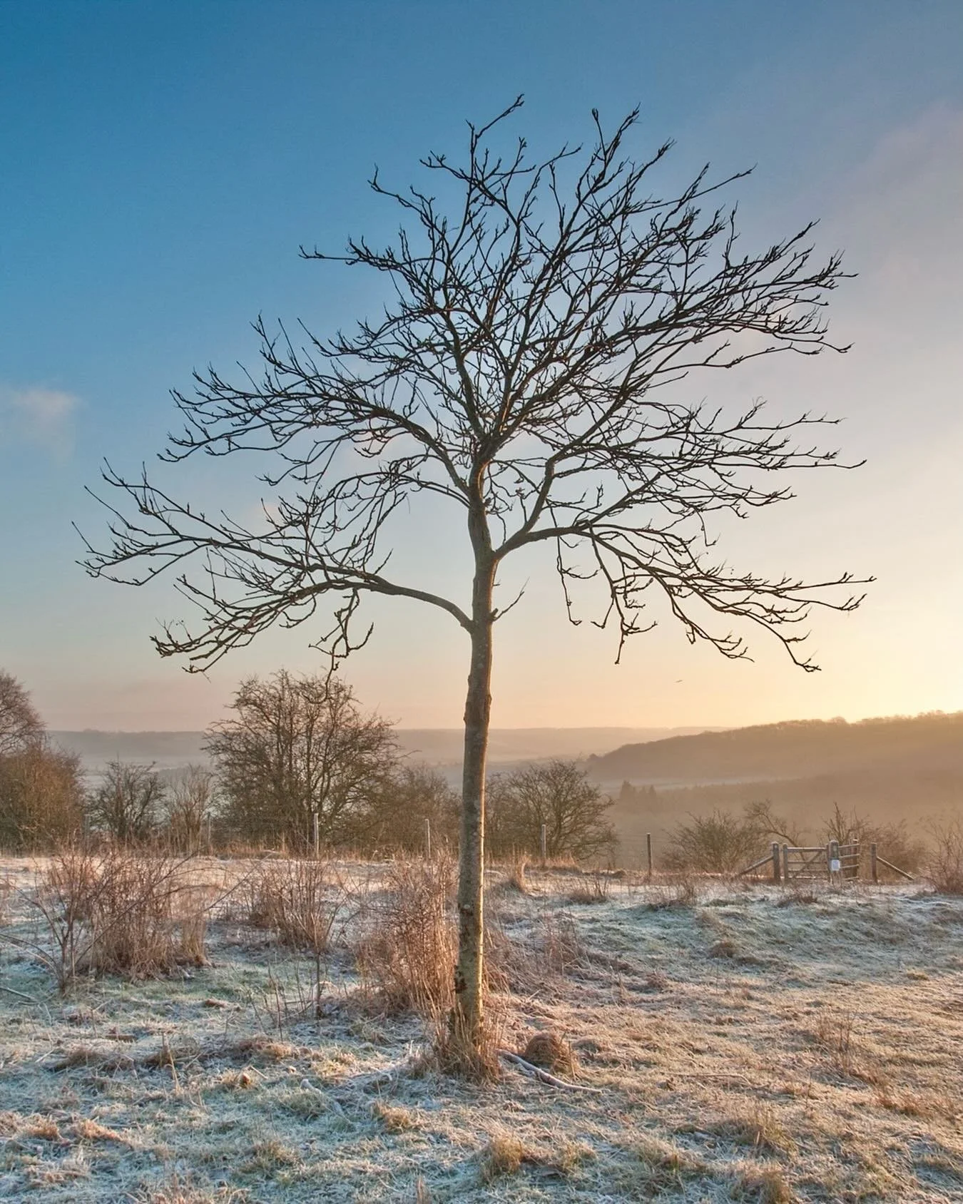 Chiltern&rsquo;s sunrise