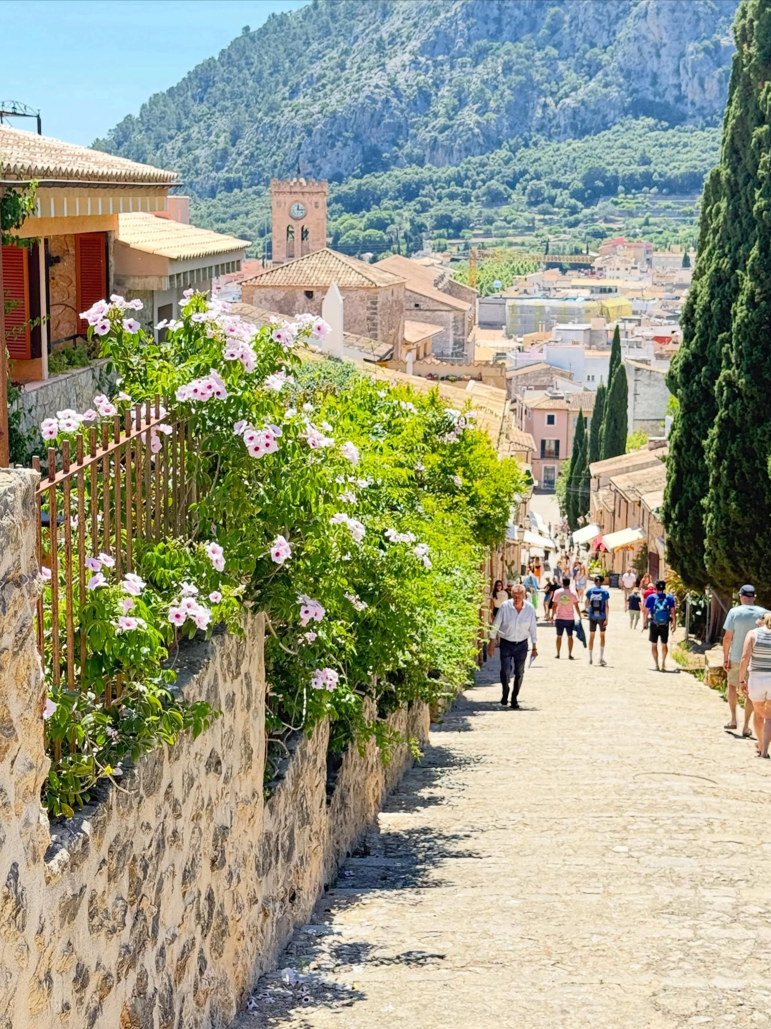 The famous &ldquo;Calvari Steps&rdquo; in Pollensa, Mallorca consist of exactly 365 steps - one for every day of the year. This historic, cypress-lined staircase connects the town center to the Calvary Chapel at the summit, where you will be rewarded