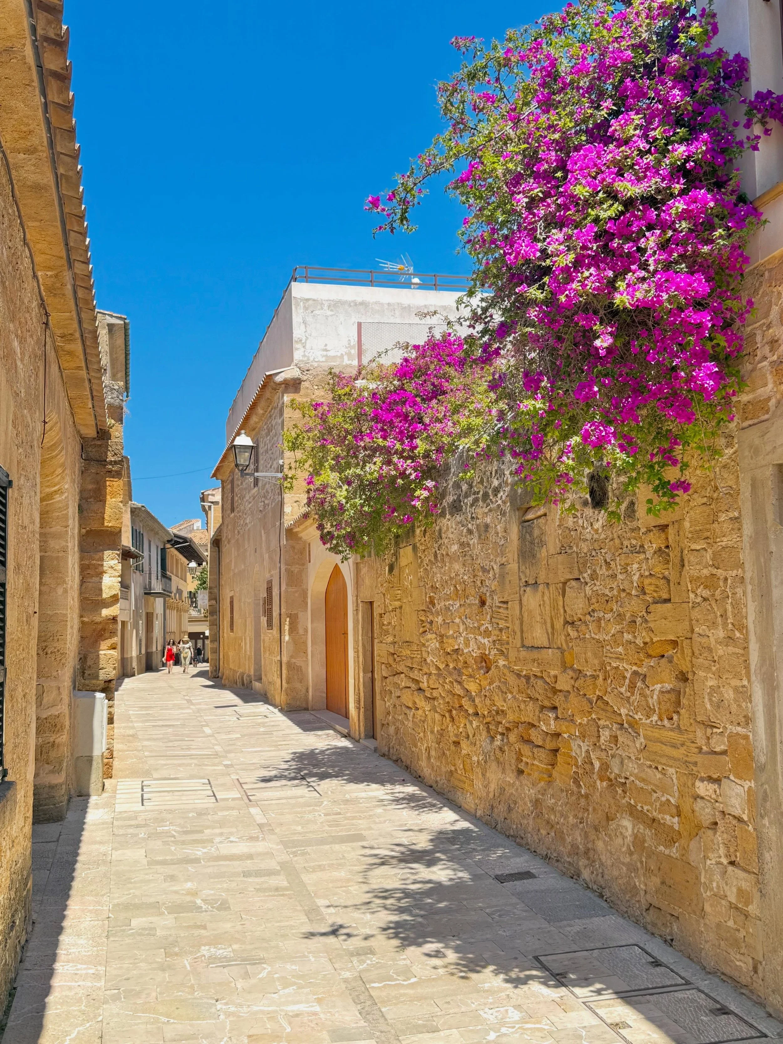 Colours of Mallorca
💛❤️💜💚🩷🩵