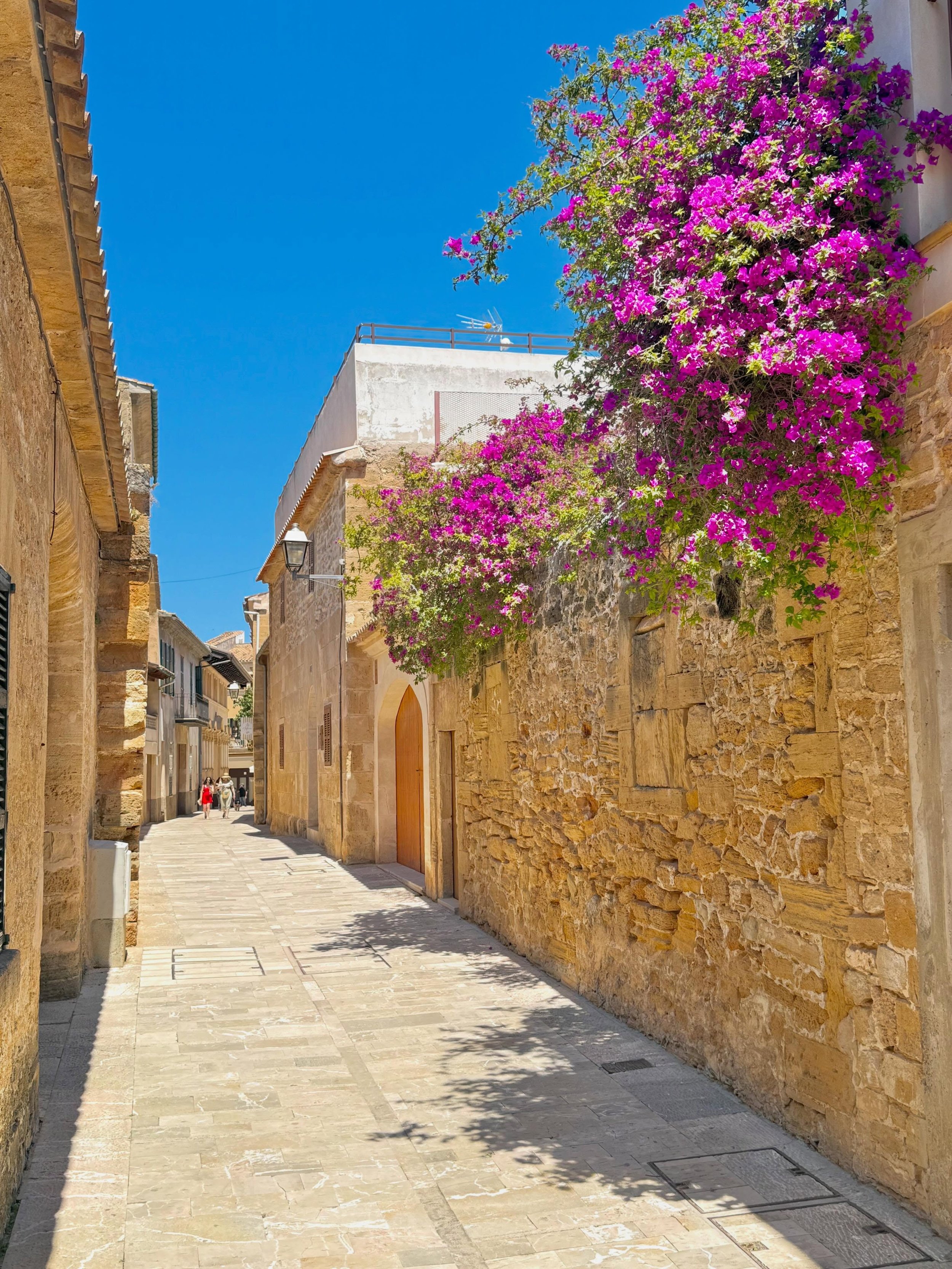 Colours of Mallorca
💛❤️💜💚🩷🩵