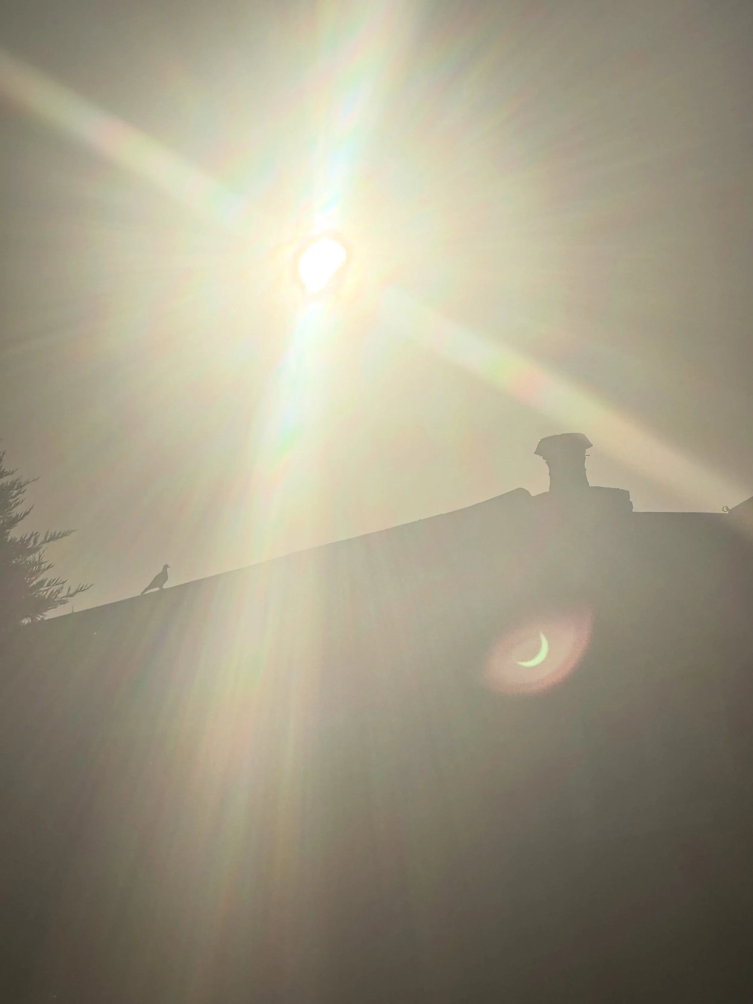 Total eclipse reflected from iPhone captured by @mcustance93 in our garden ☀️