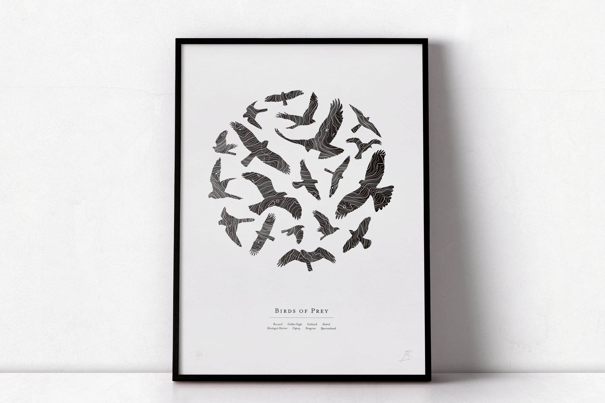 Birds_Of_Prey_Screenprint1_Field-Workshop_www.fieldworkshop.co.uk.jpg