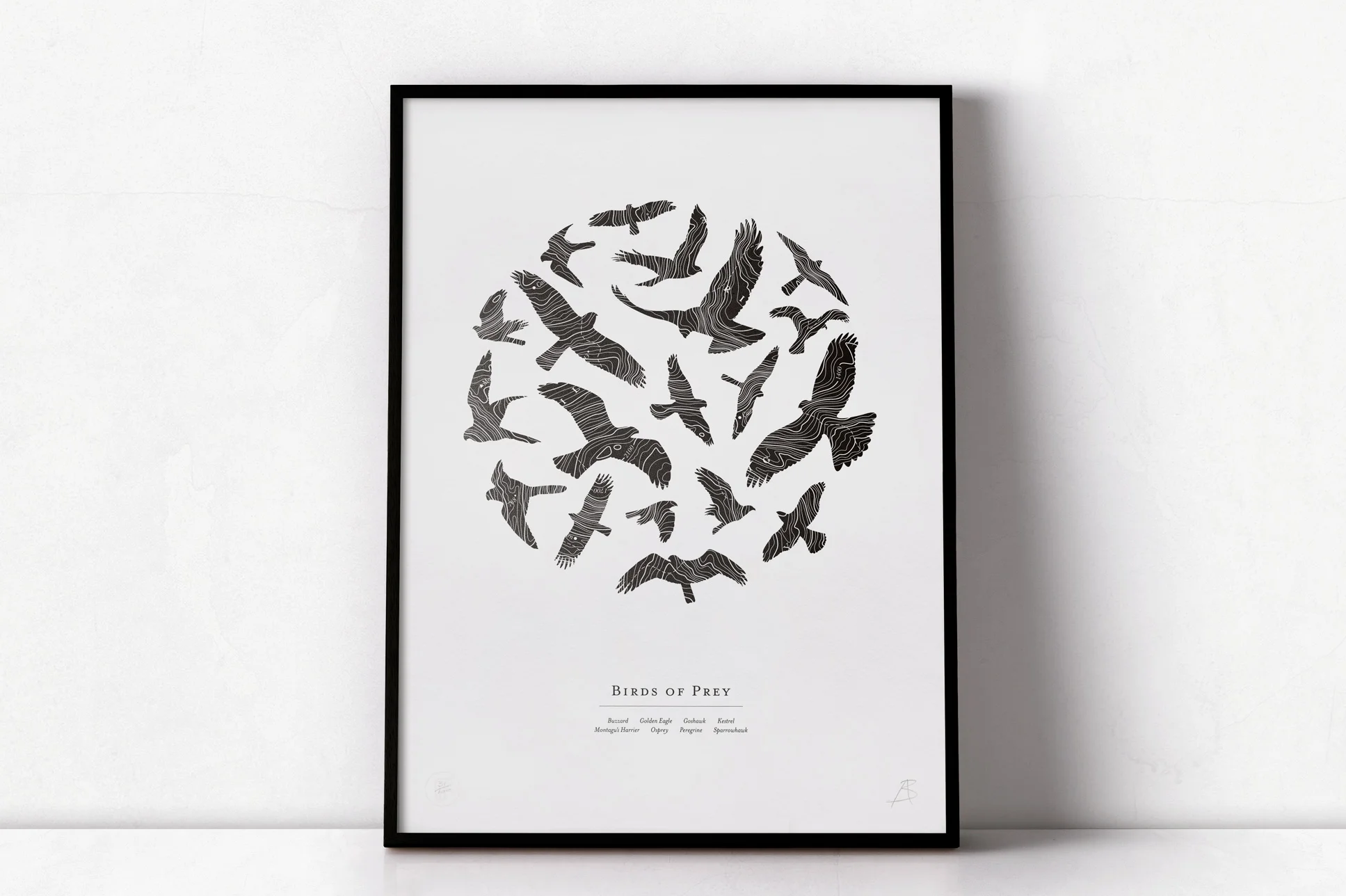 BIRDS OF PREY | CHARCOAL