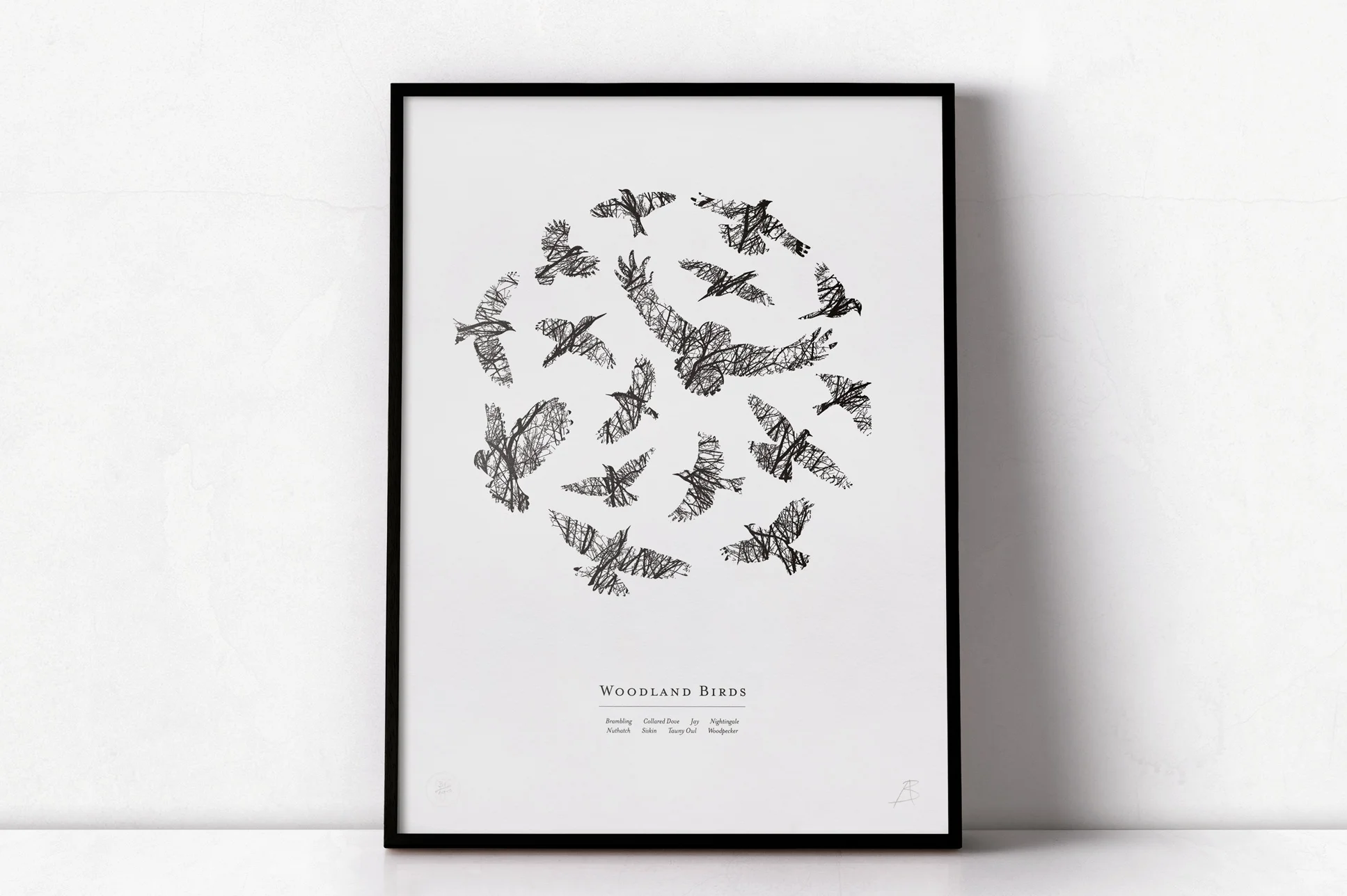WOODLAND BIRDS | CHARCOAL