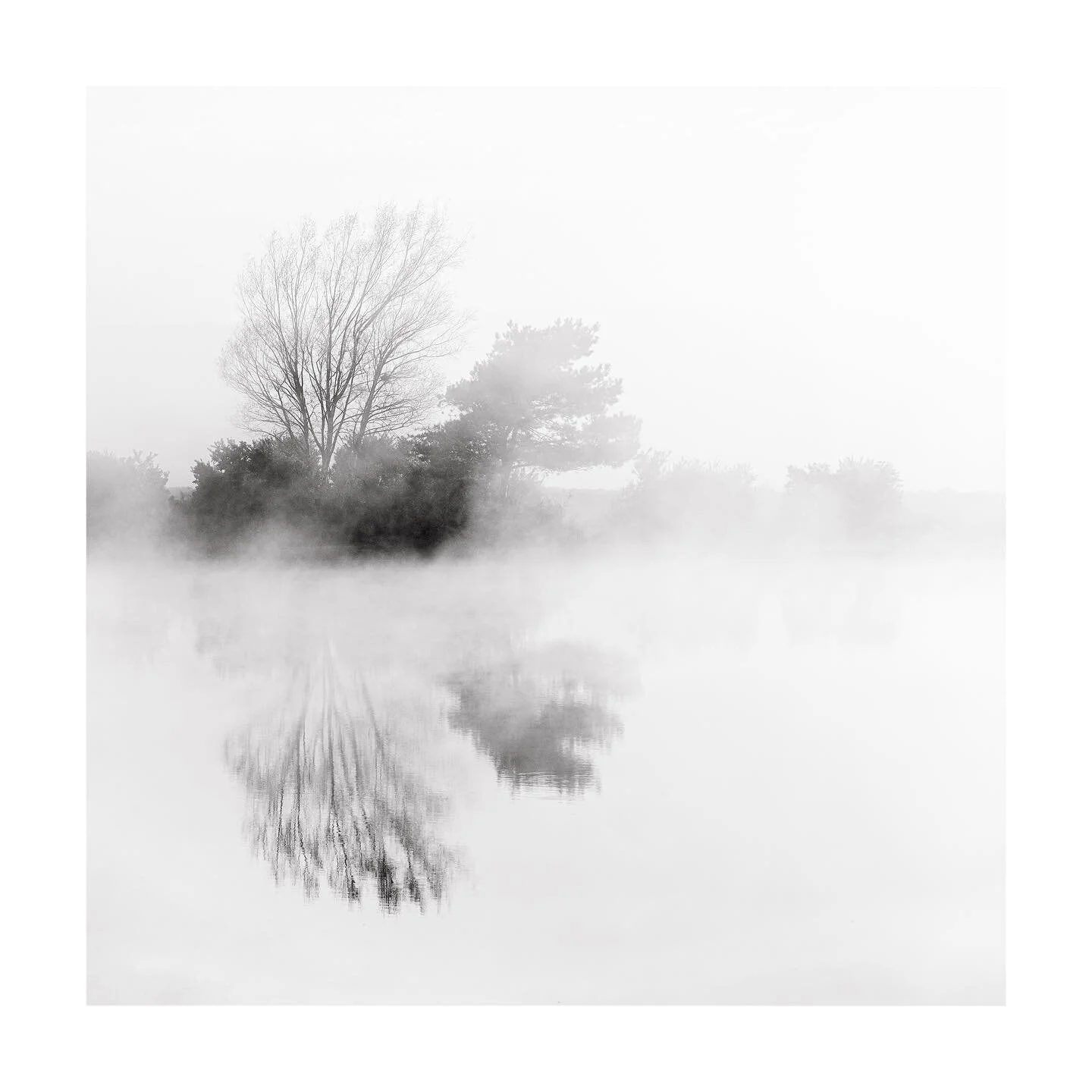 Calm.
.
.
#mist #fog #treephotography #treescape #calm #natureinblackandwhite #woodland  #mistywater #bwnature #lowkeyphotography #mindfulphotography #bnwphotography #monochrome #monochromephotography #newforest