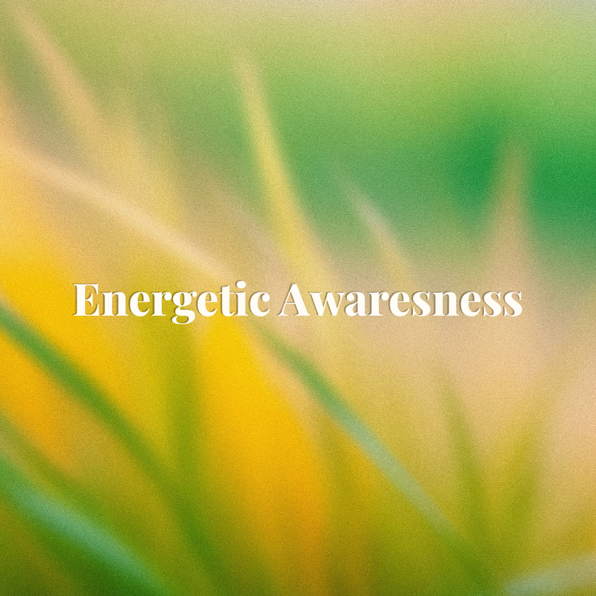 Releasing Energetic Cords: How to Come Back to Yourself When You’re Pulled in Every Direction