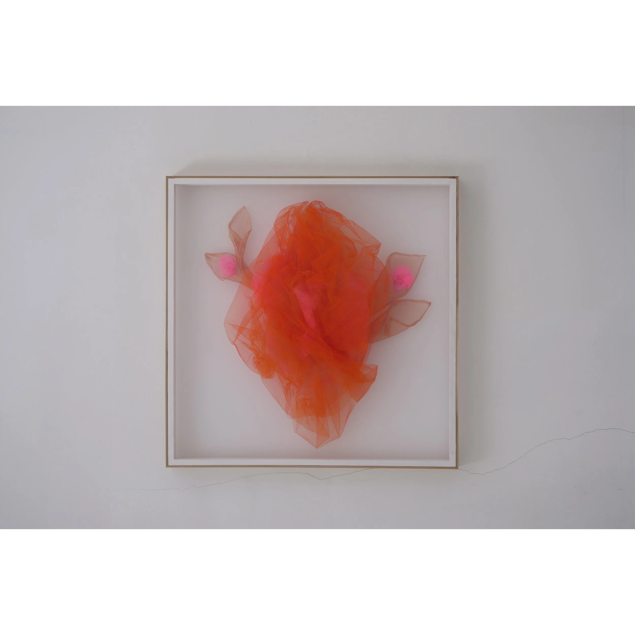 Whitagram-Image 2.JPG