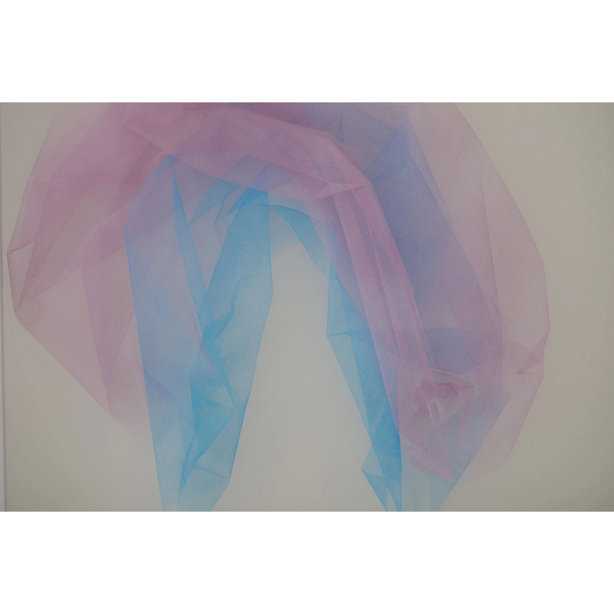 Whitagram-Image 9.JPG