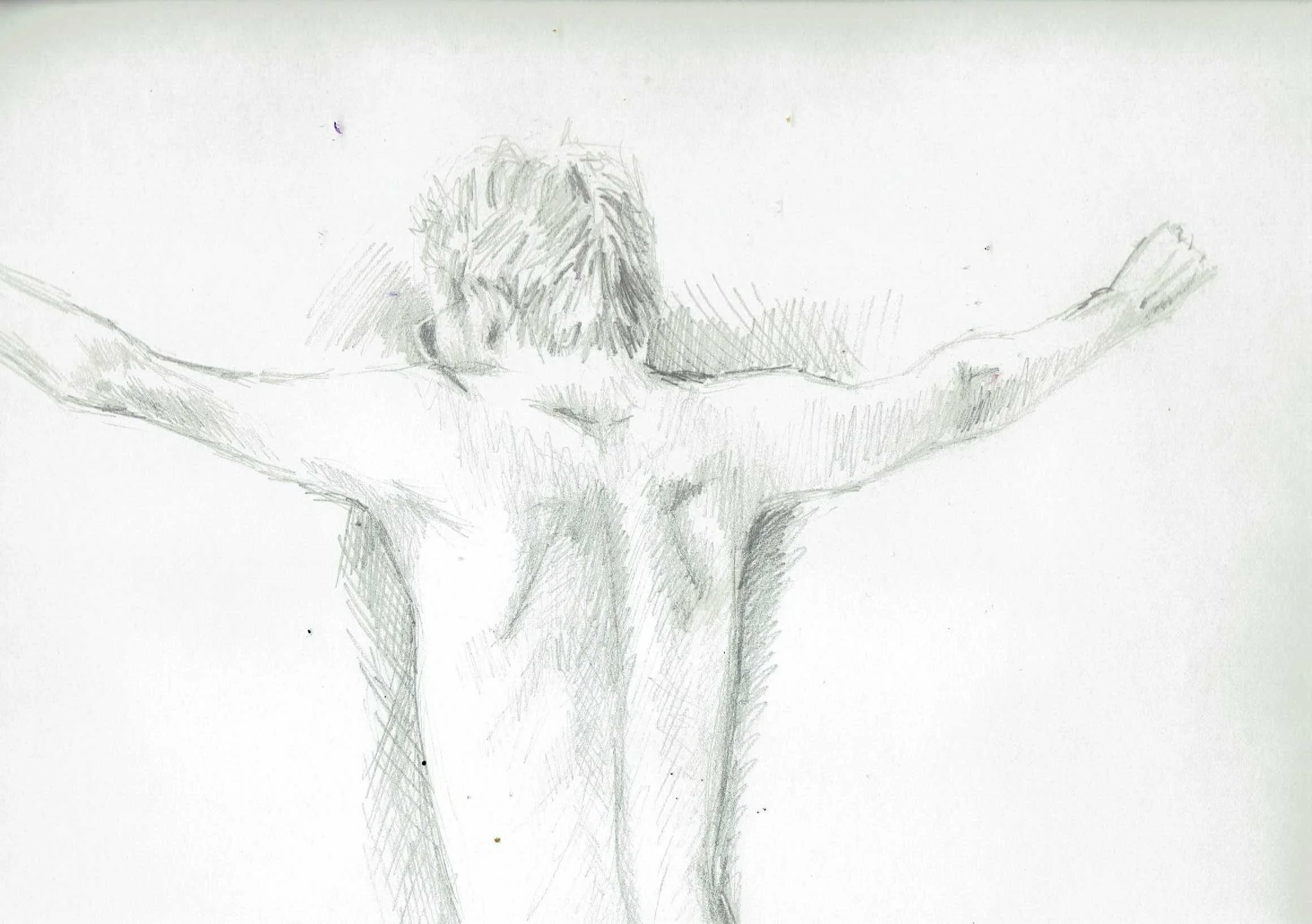 scan
