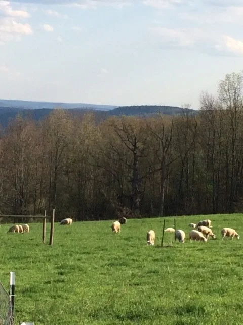 Farm Tour Per Person