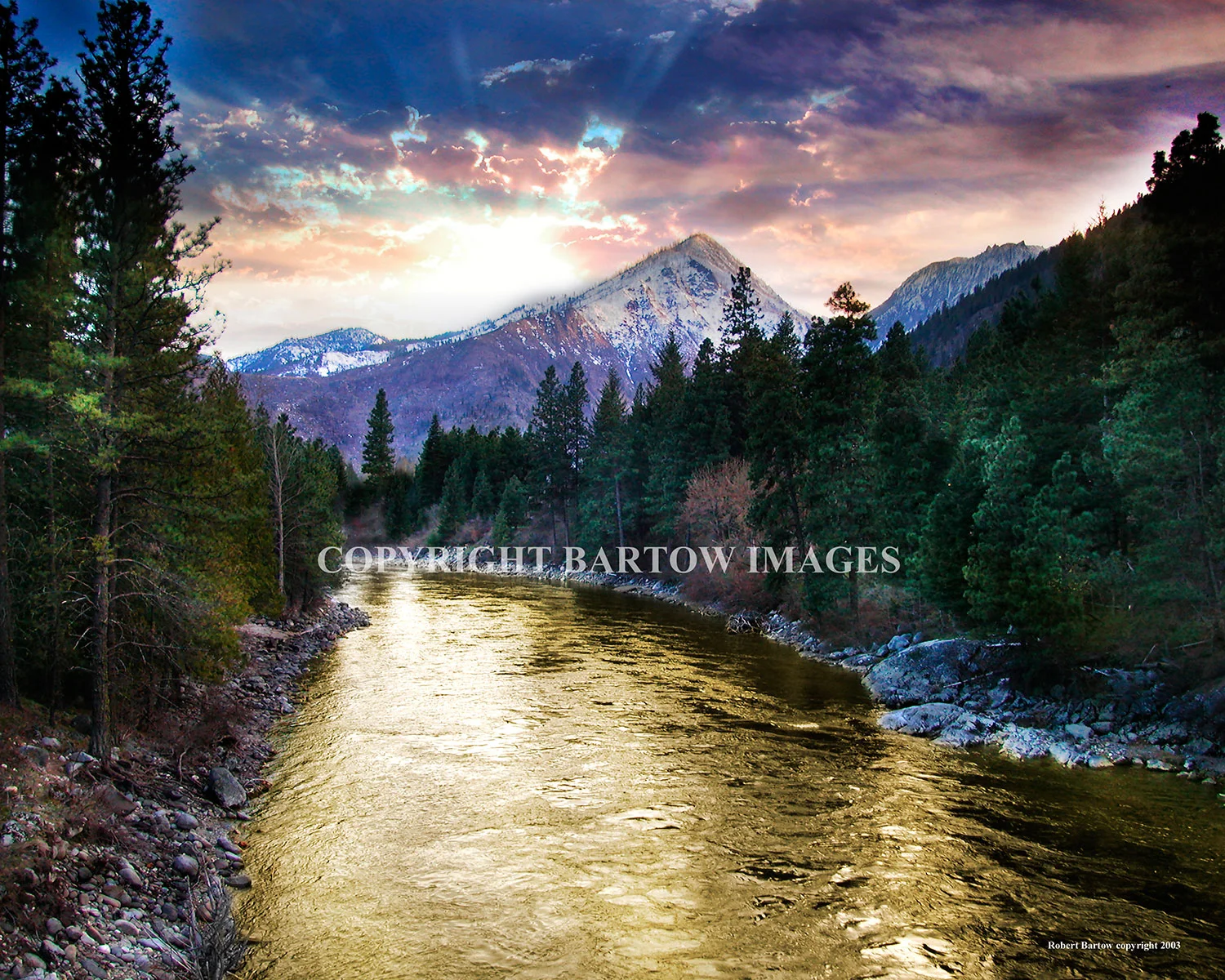 River of Gold Greeting Cards sets of 3