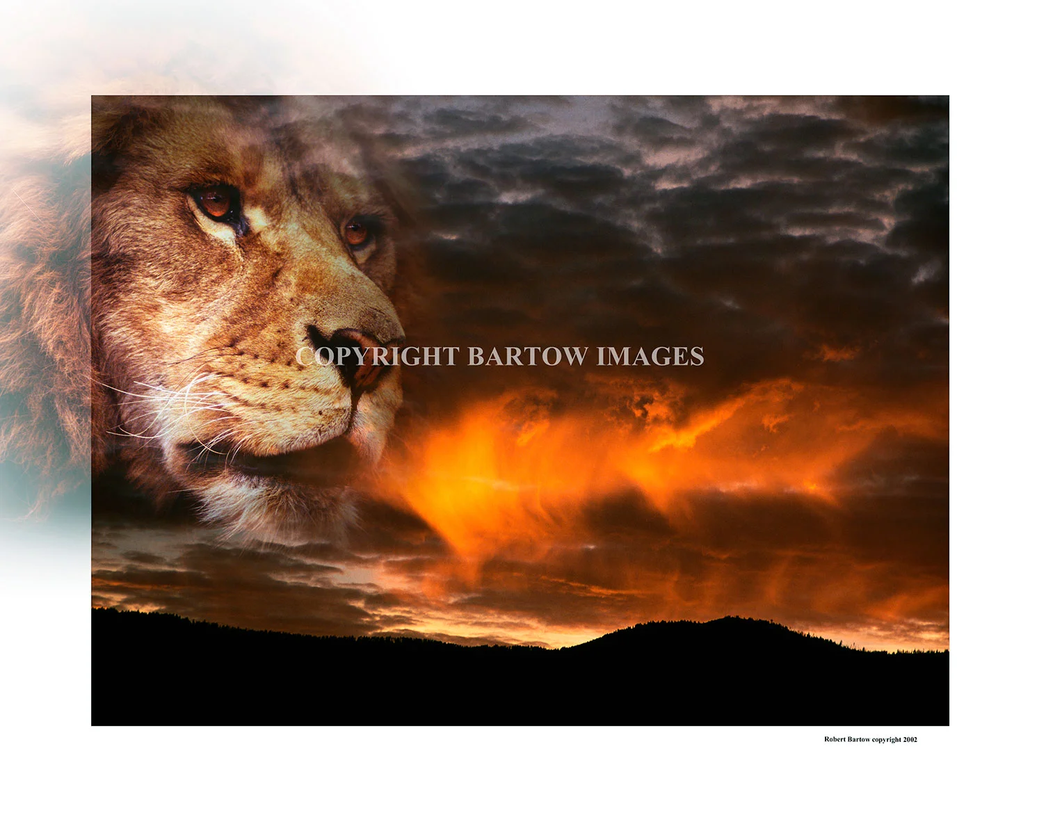 Reign of Fire Greeting Cards sets of 3